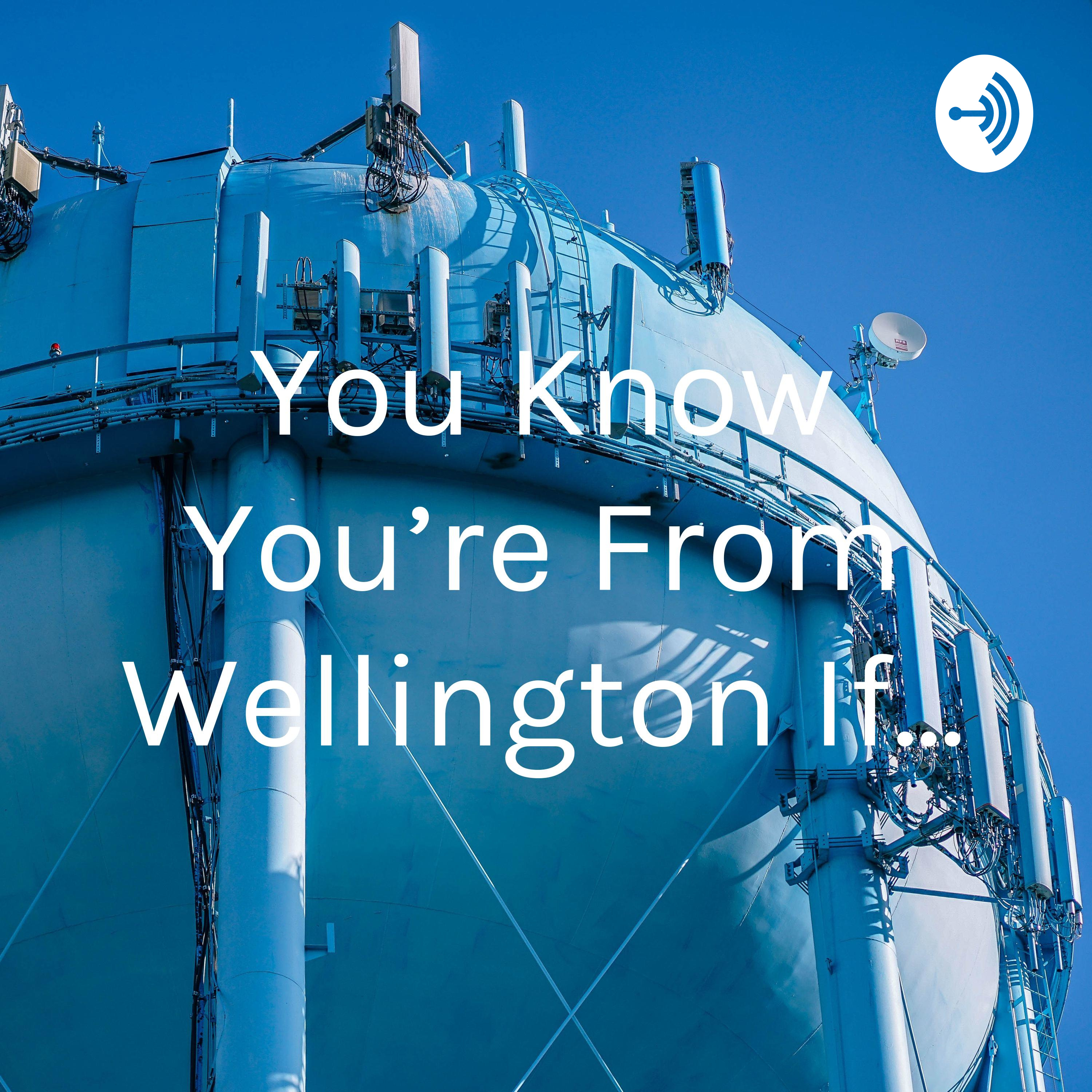 You Know You’re From Wellington If...