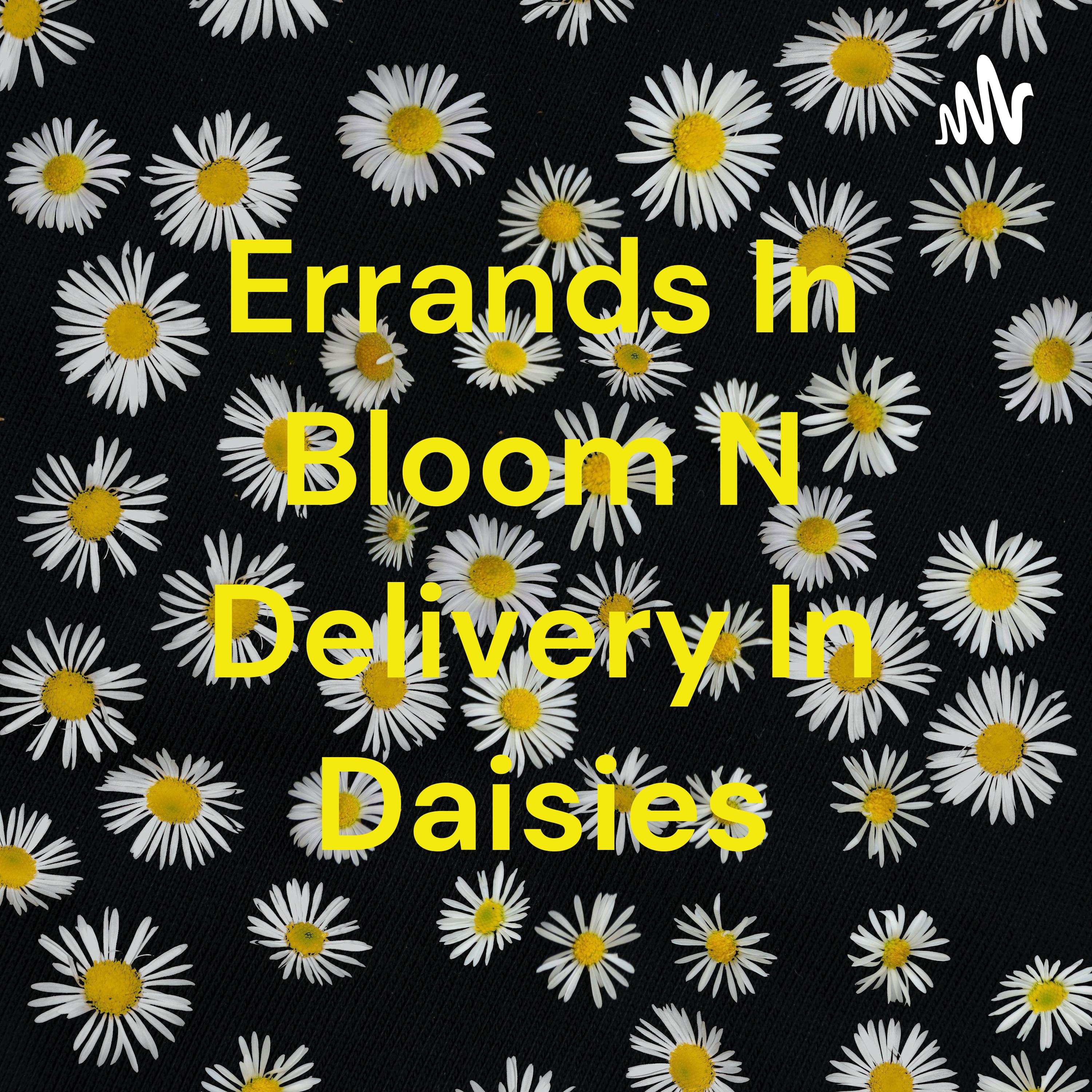 Errands In Bloom N Delivery In Daisies