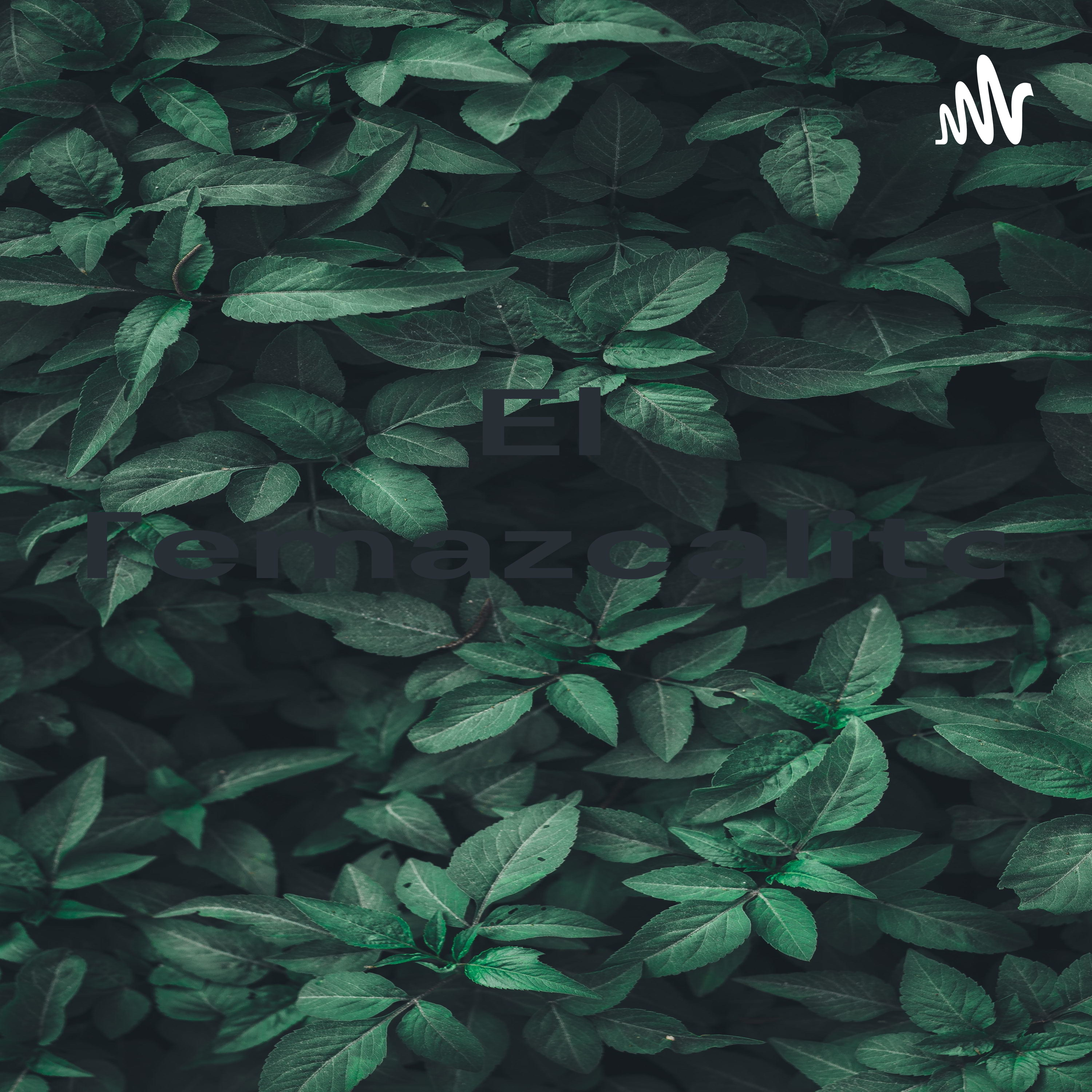 El Temazcalito cover art