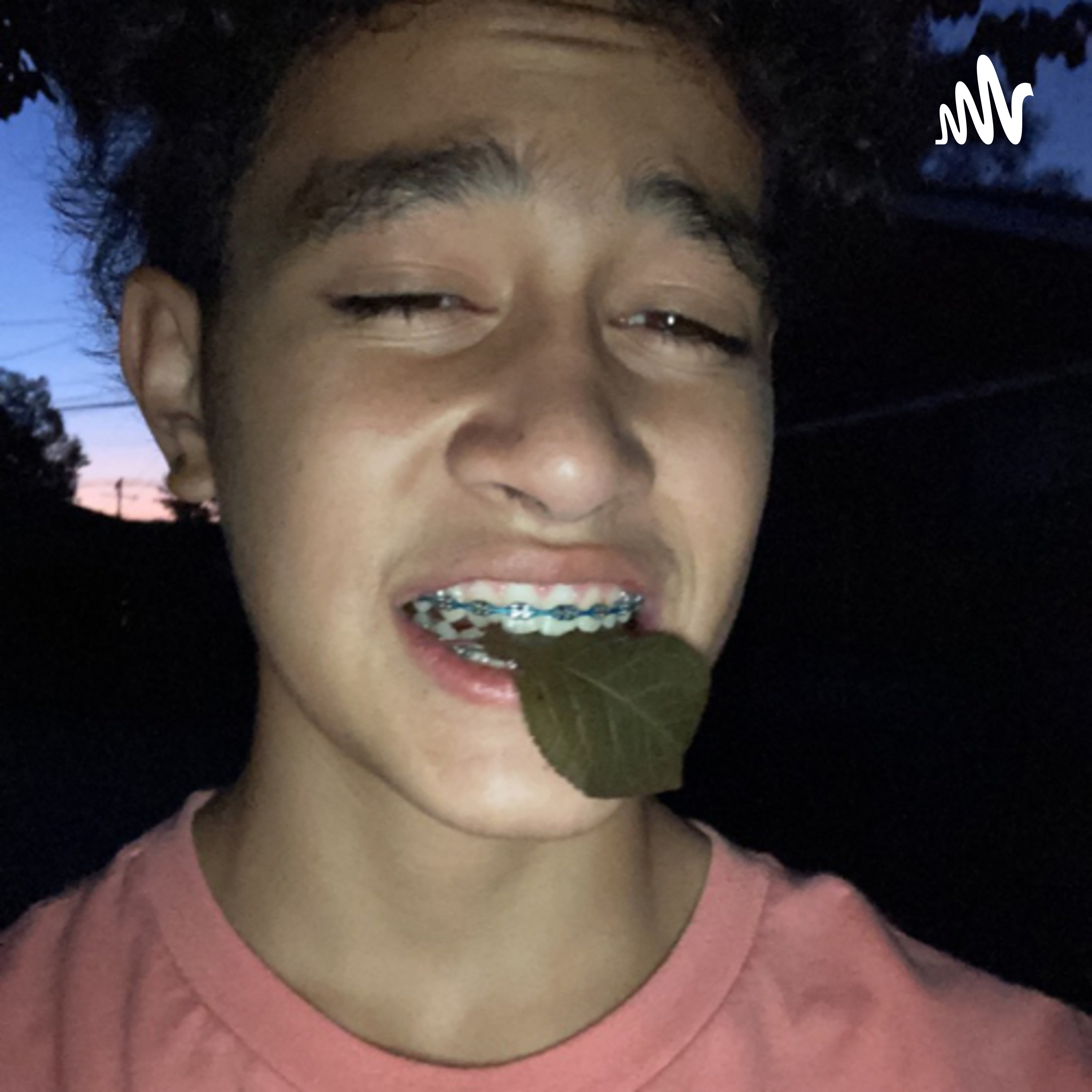 Kai’s Podcast cover art