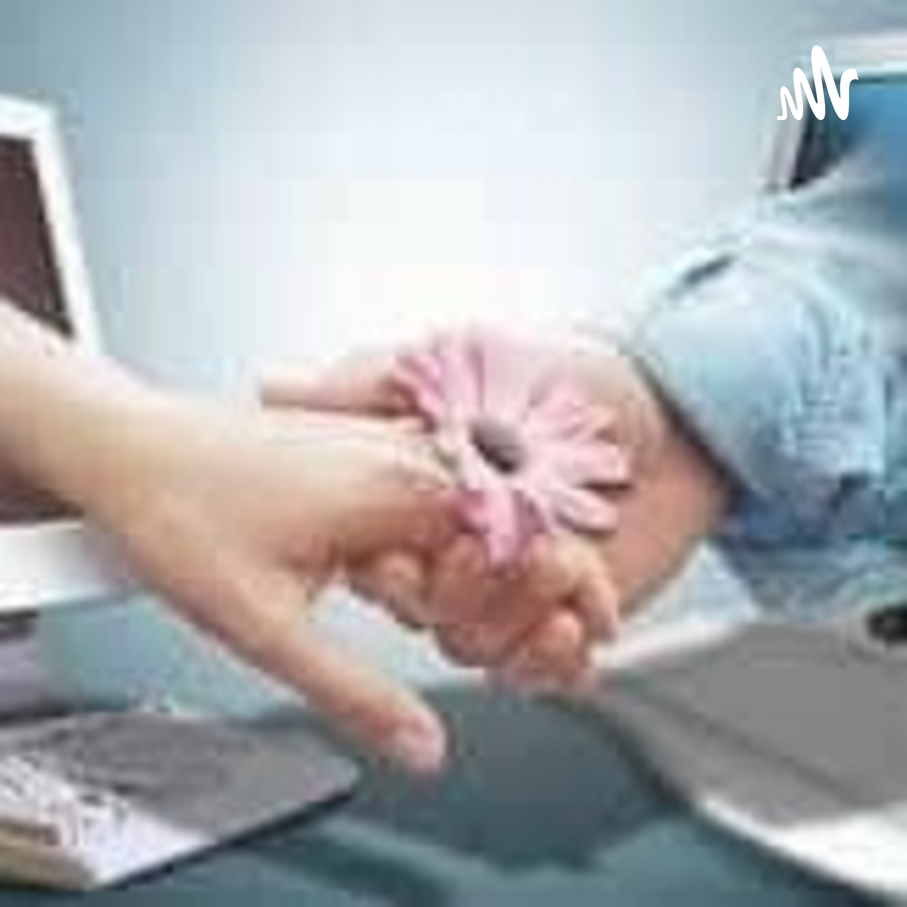 El Ciber Noviazgo,una versión moderna del Noviazgo.💑