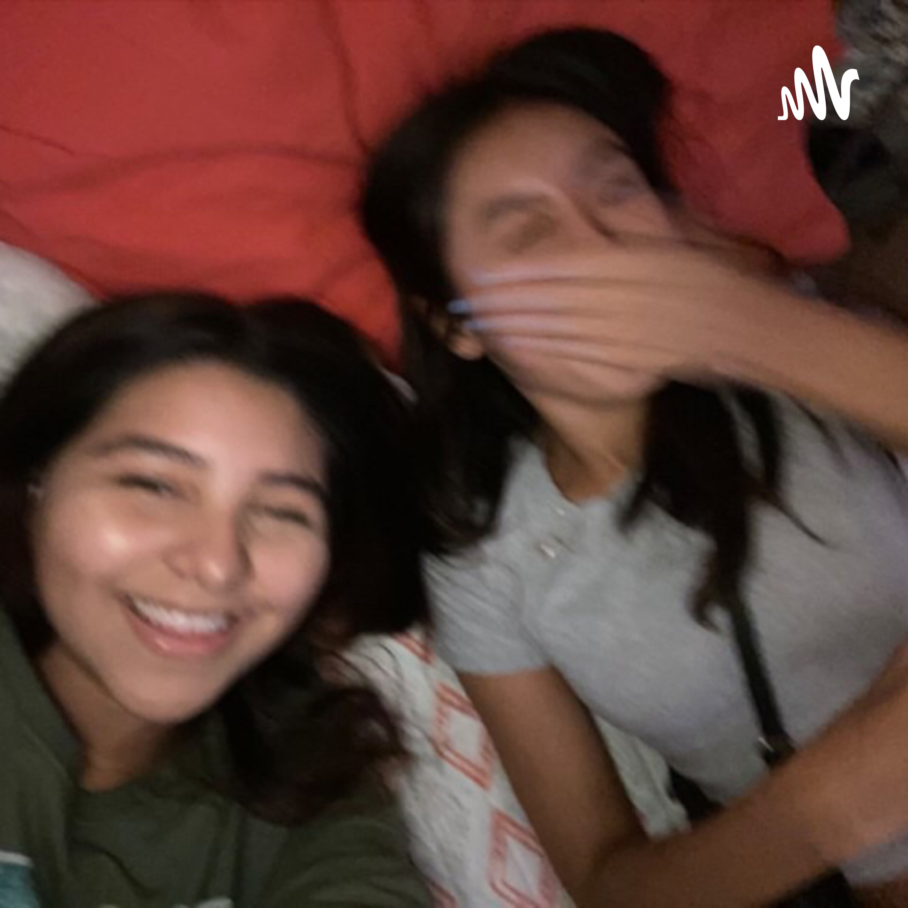 Dos amigas cover art