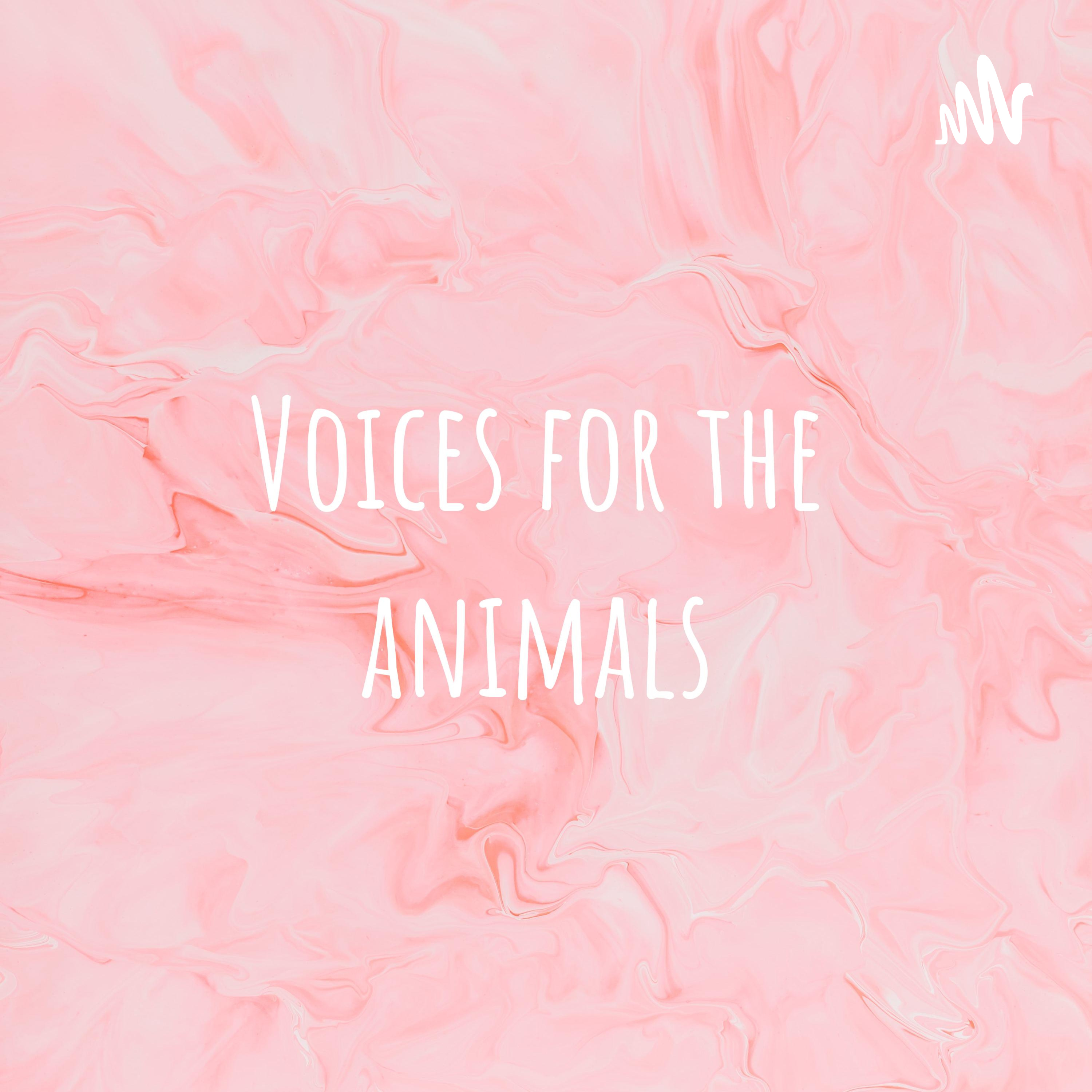 Voices for the animals