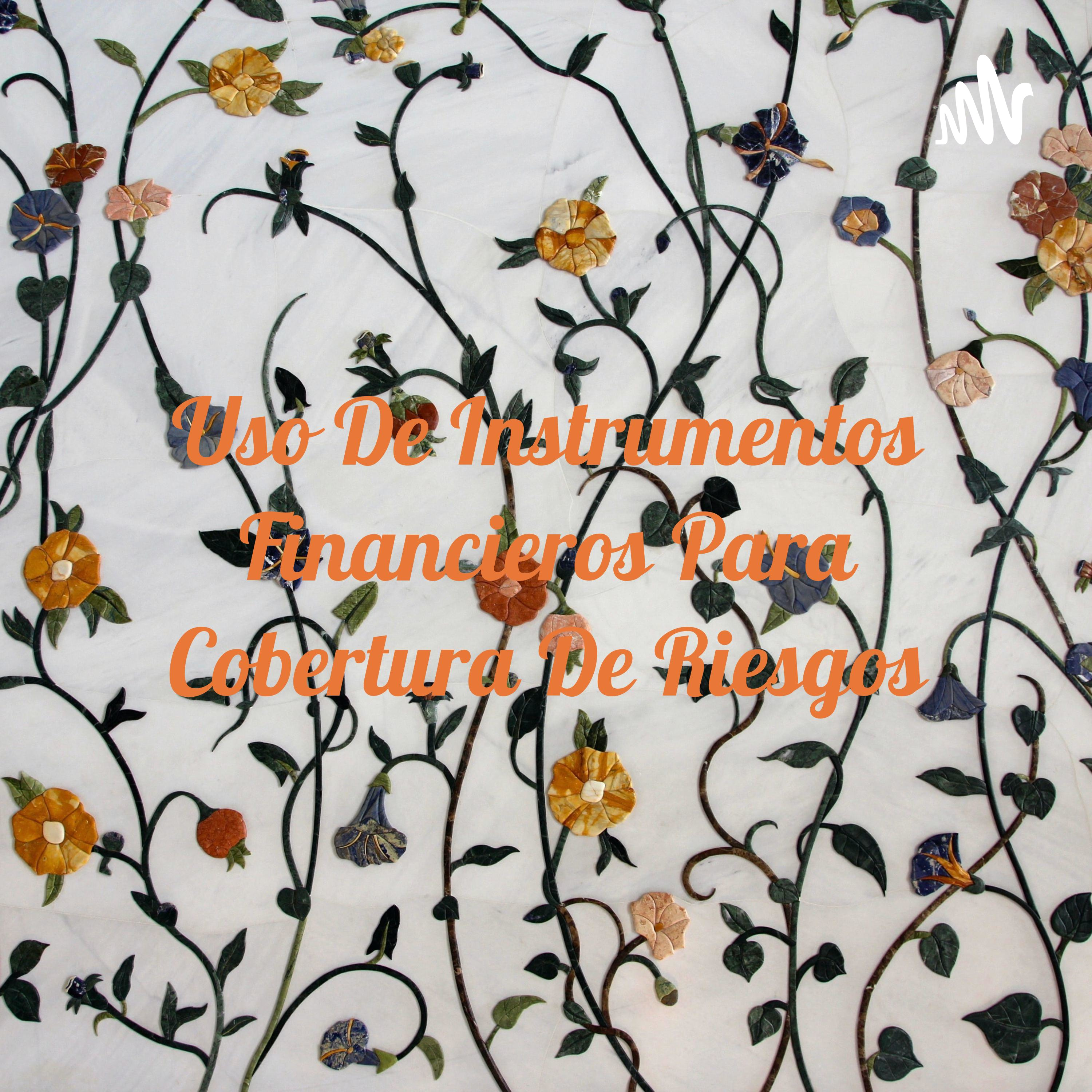 Uso De Instrumentos Financieros Para Cobertura De Riesgos cover art