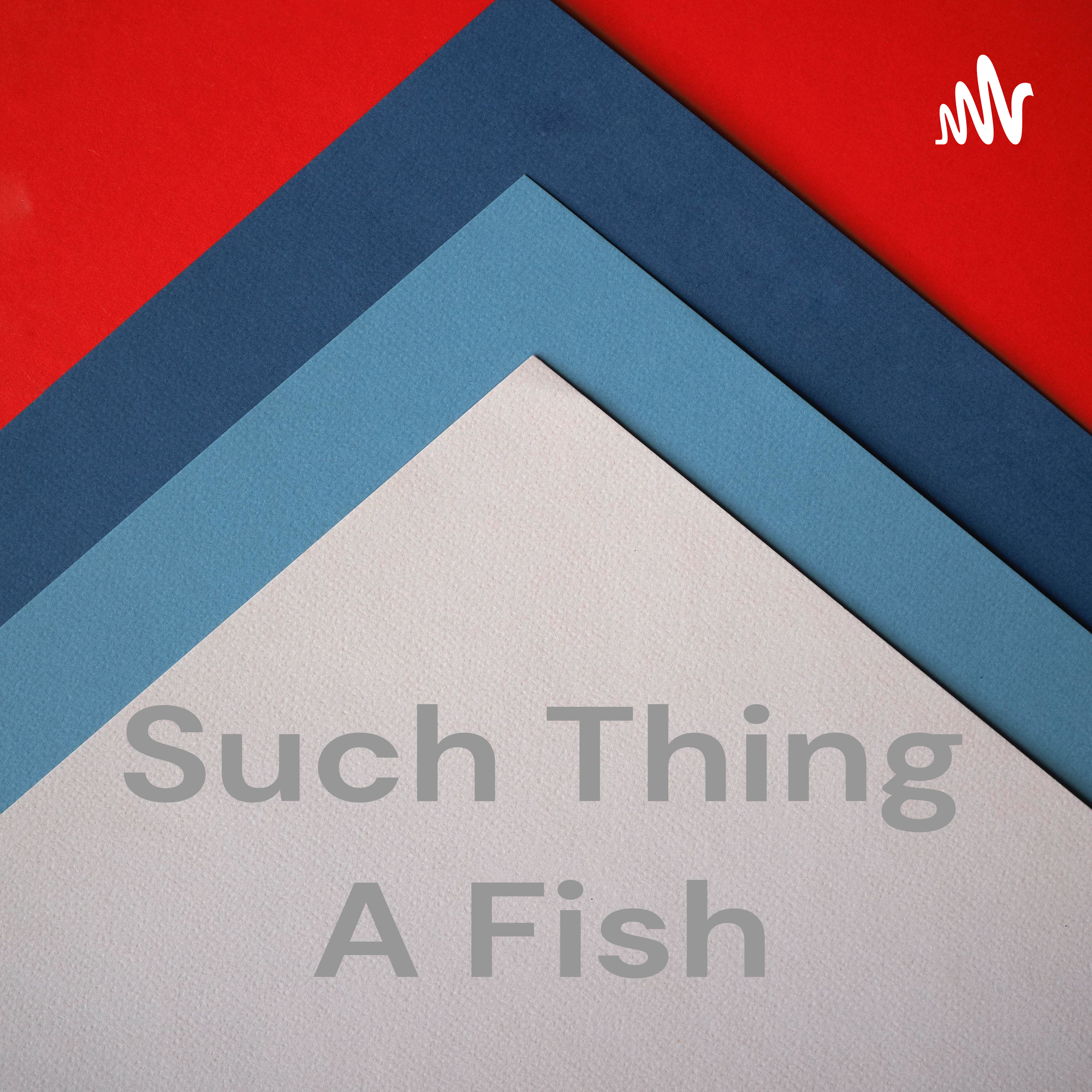 Such Thing A Fish Such Thing A Fish