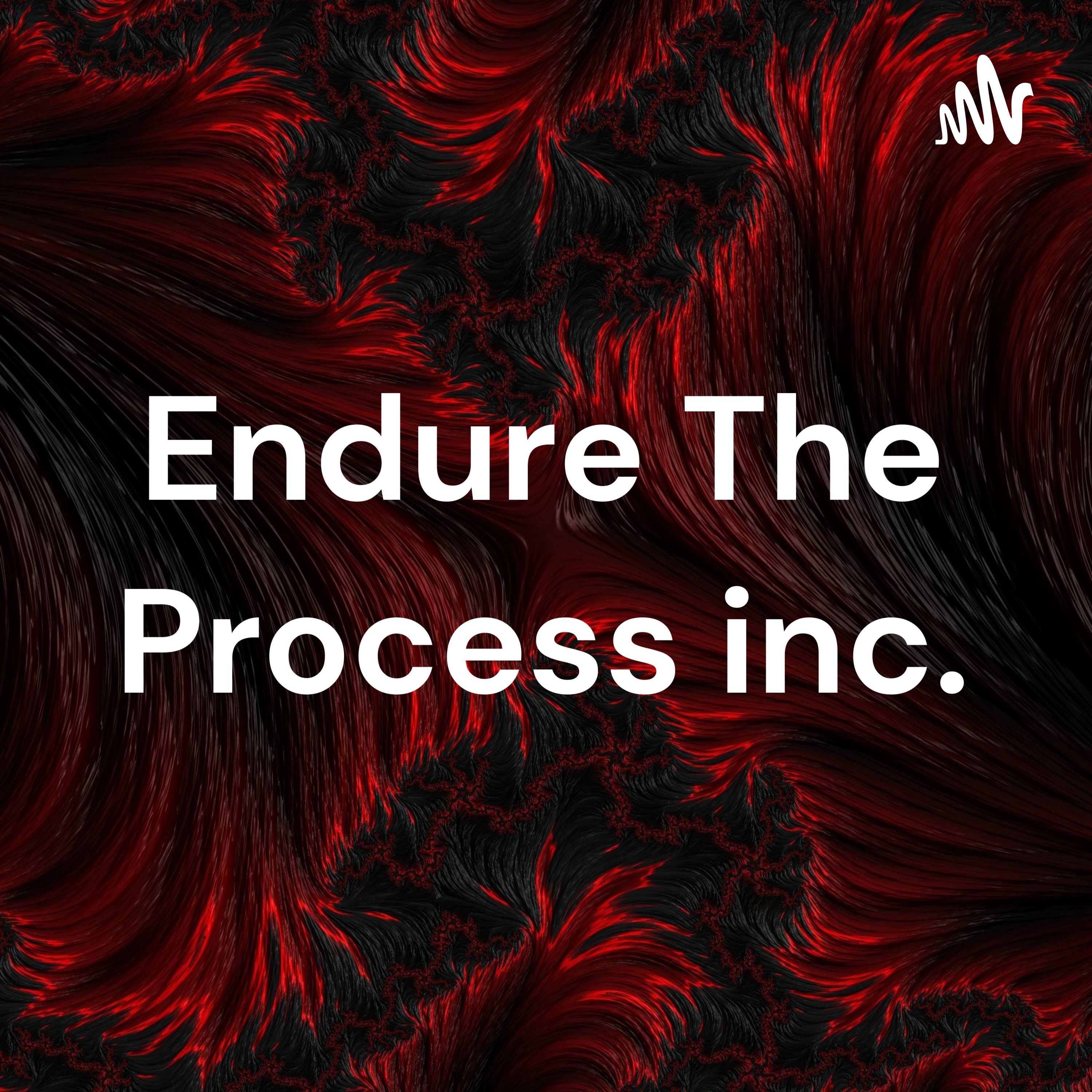 Endure The Process inc. cover art