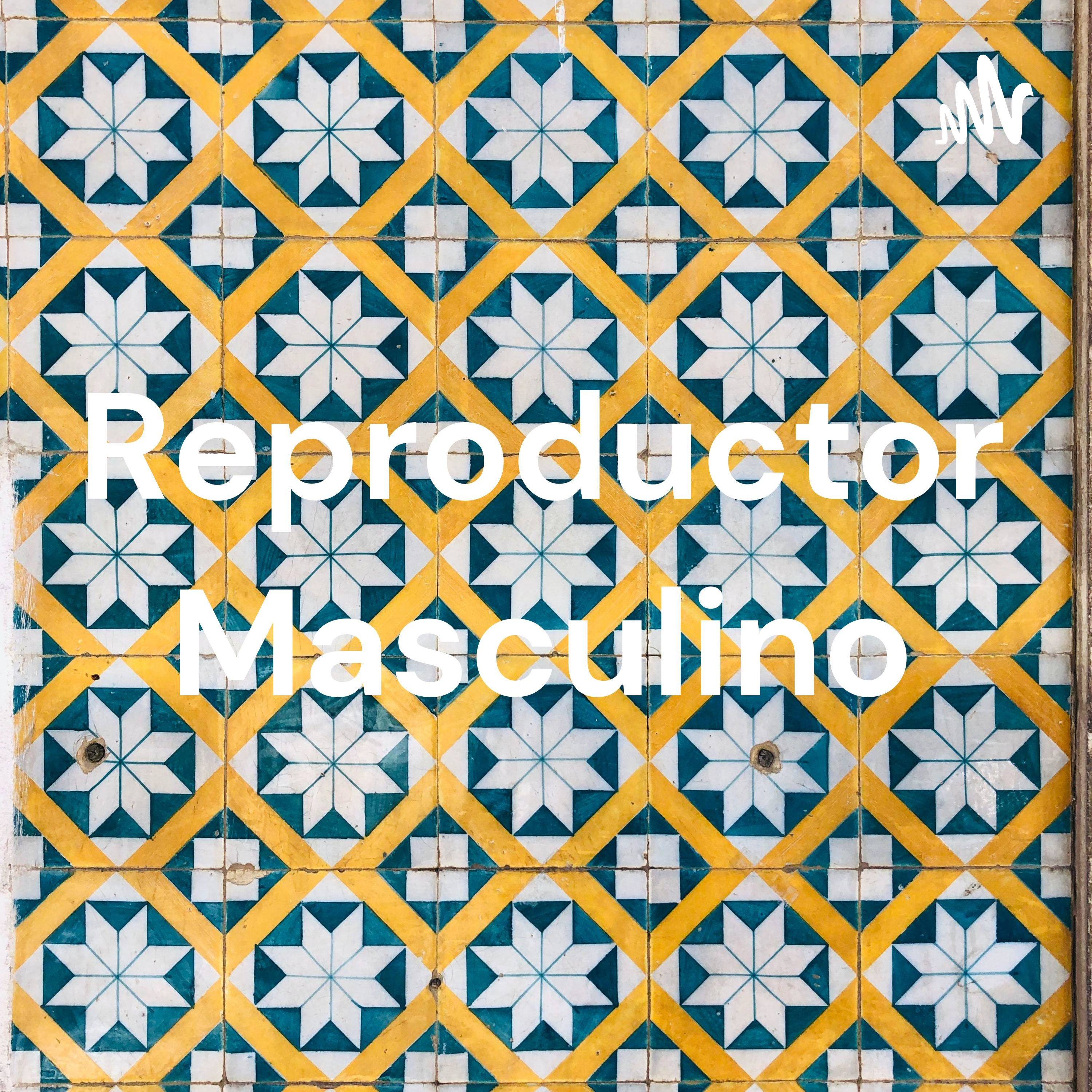 Reproductor Masculino cover art