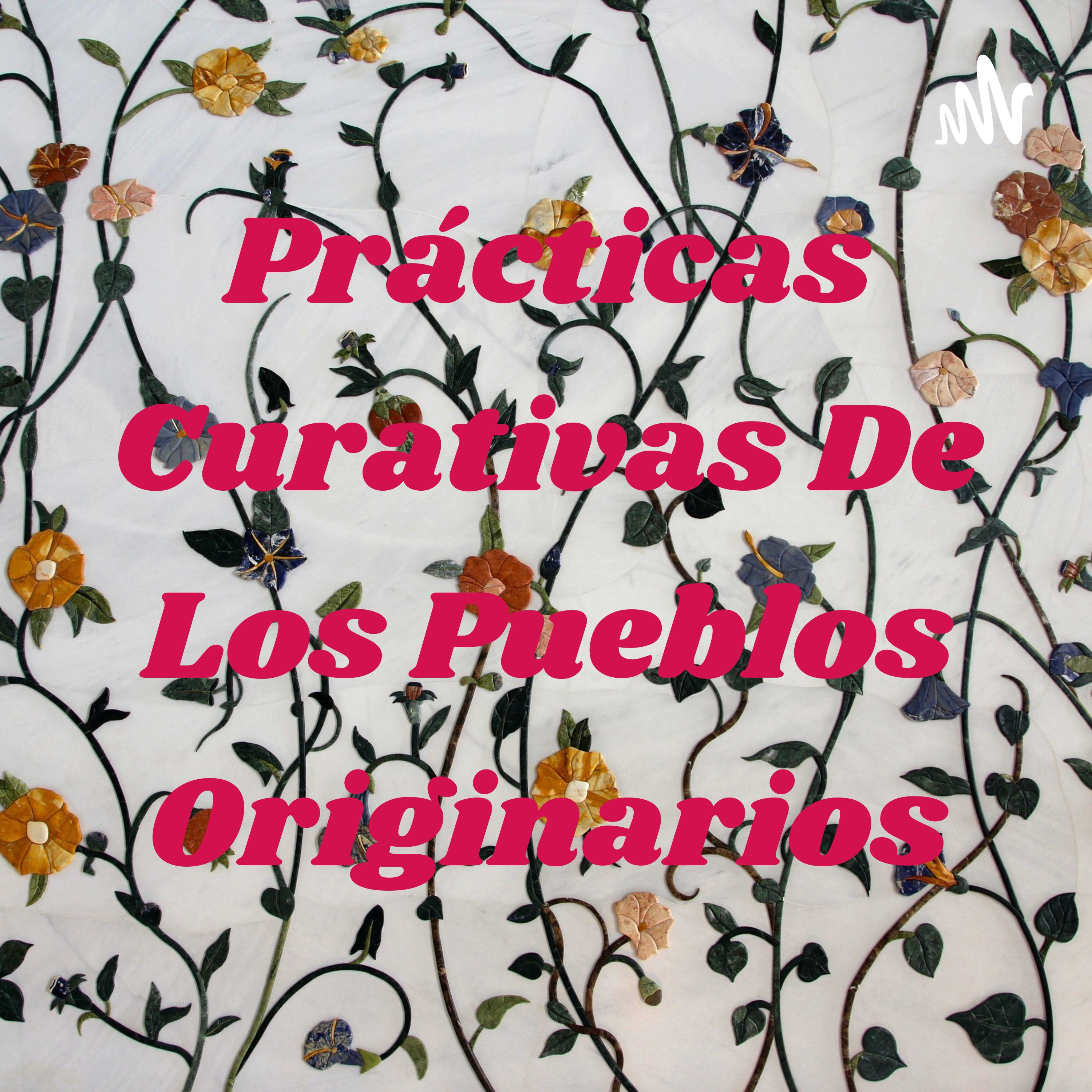 Prácticas Curativas De Los Pueblos Originarios cover art