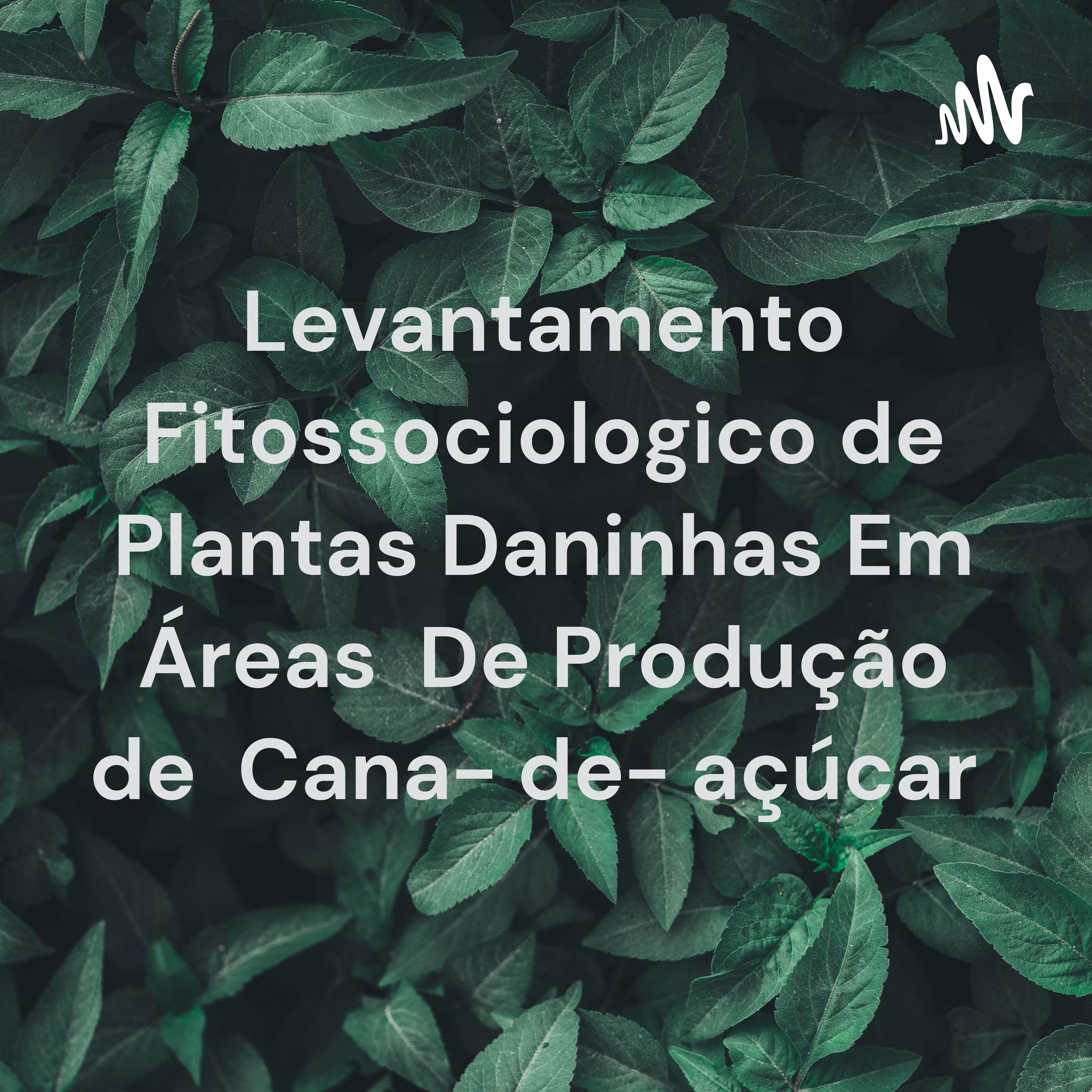 Levantamento Fitossociologico de Plantas Daninhas Em Áreas De Produção de Cana- de- açúcar 