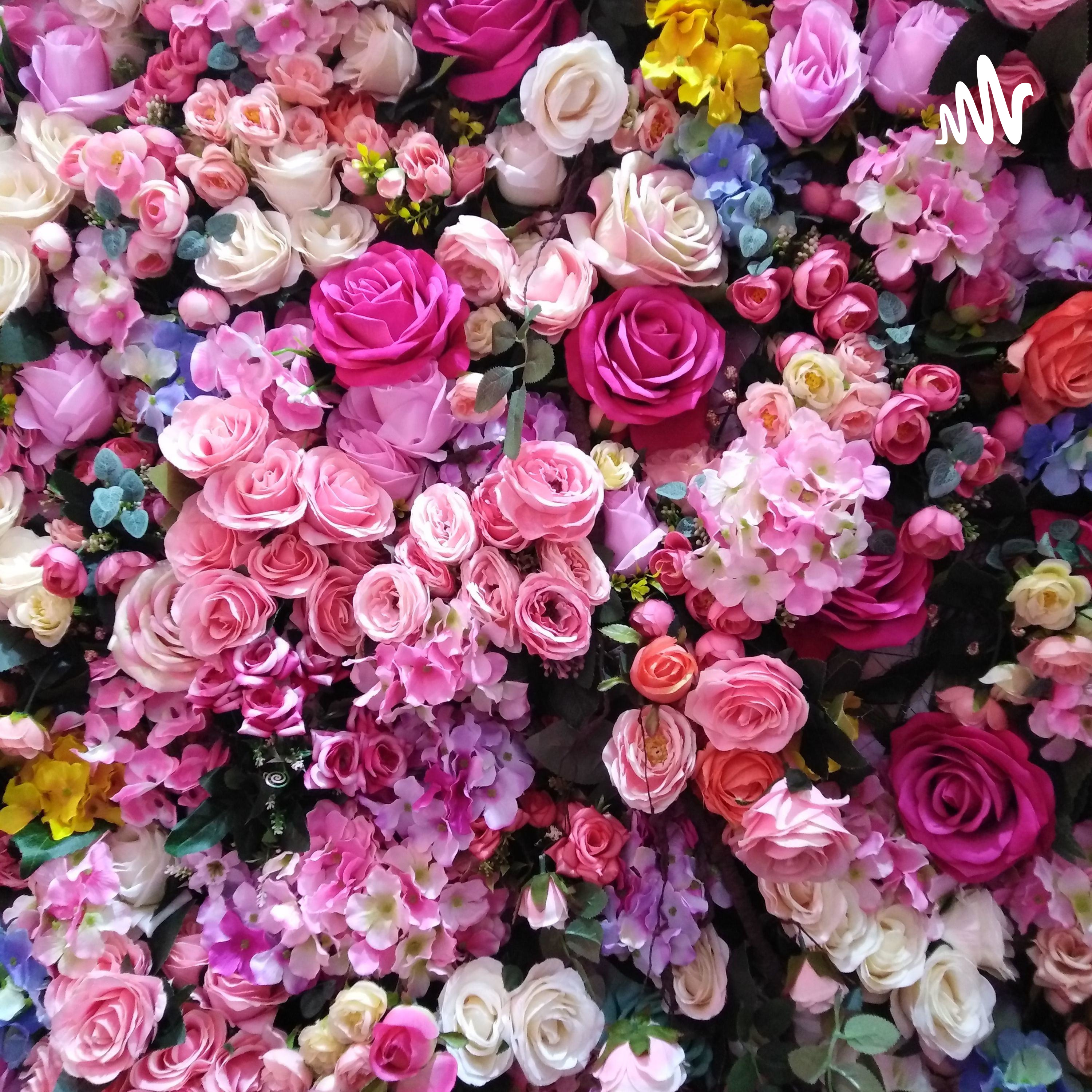 Everyday Mindfulness by Kelly Podcast cover art