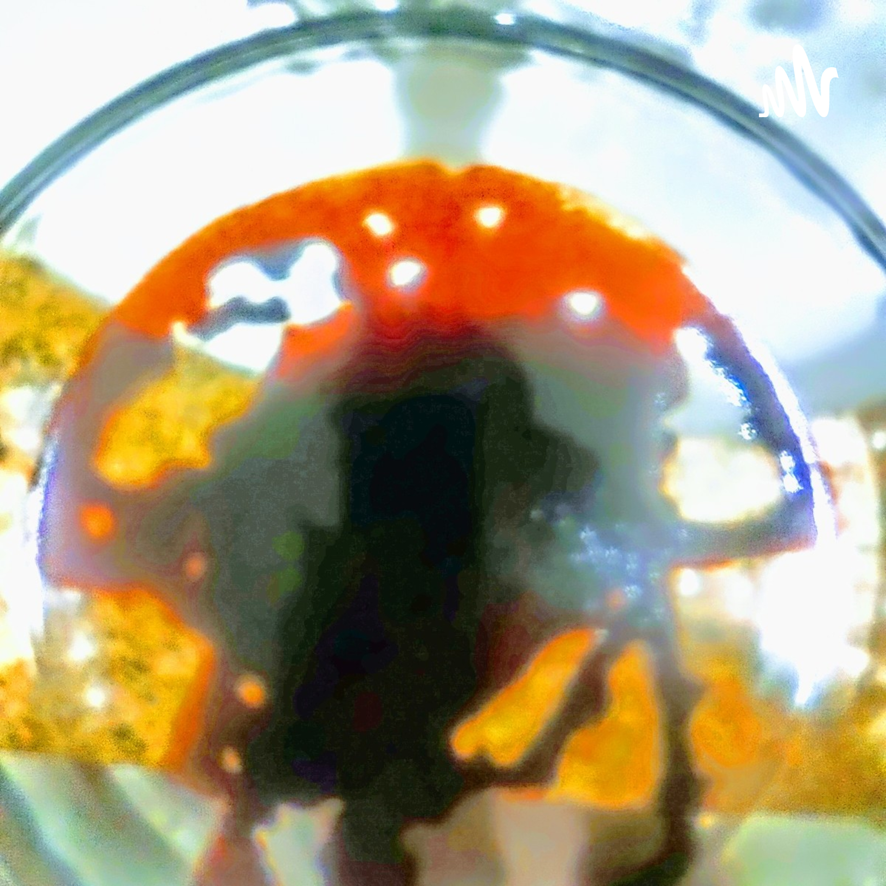 Subjective TRUTH Love Shaman cover art