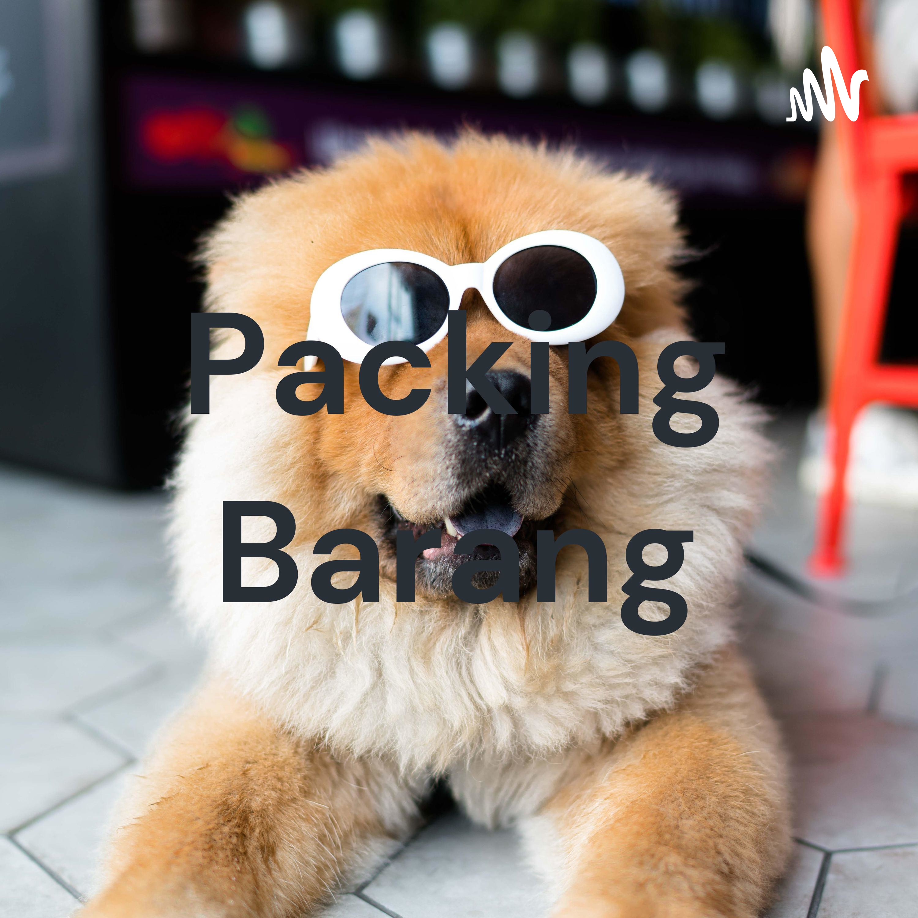 Packing Barang cover art