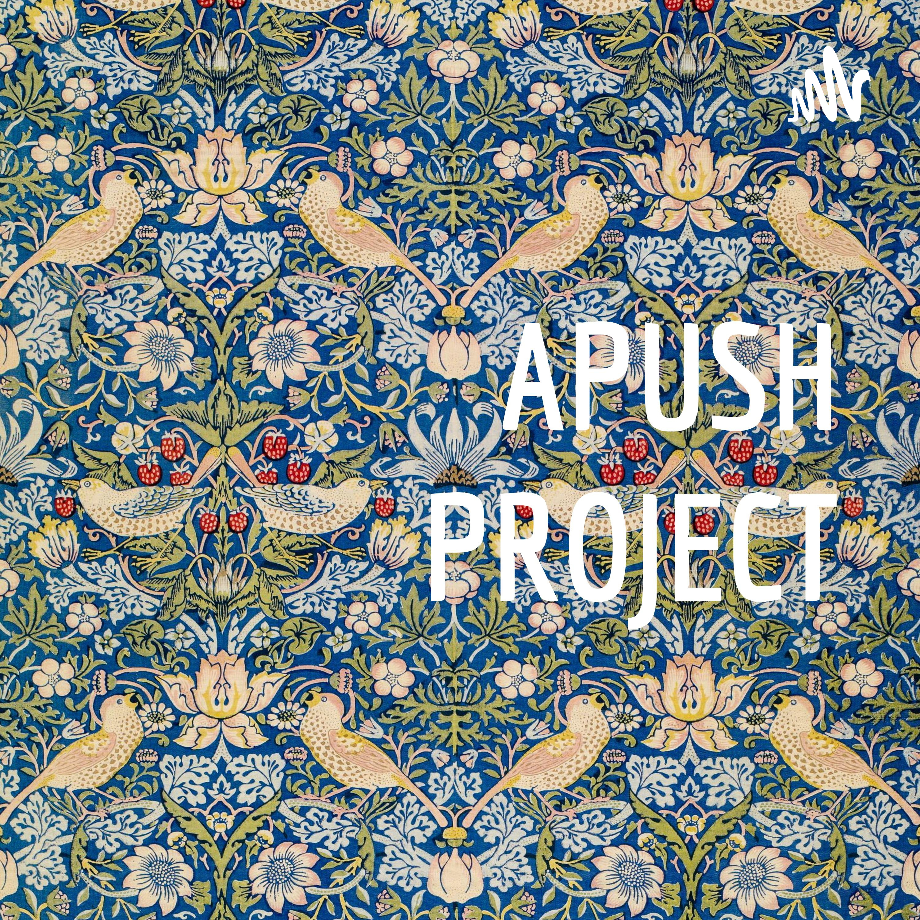 APUSH PROJECT cover art