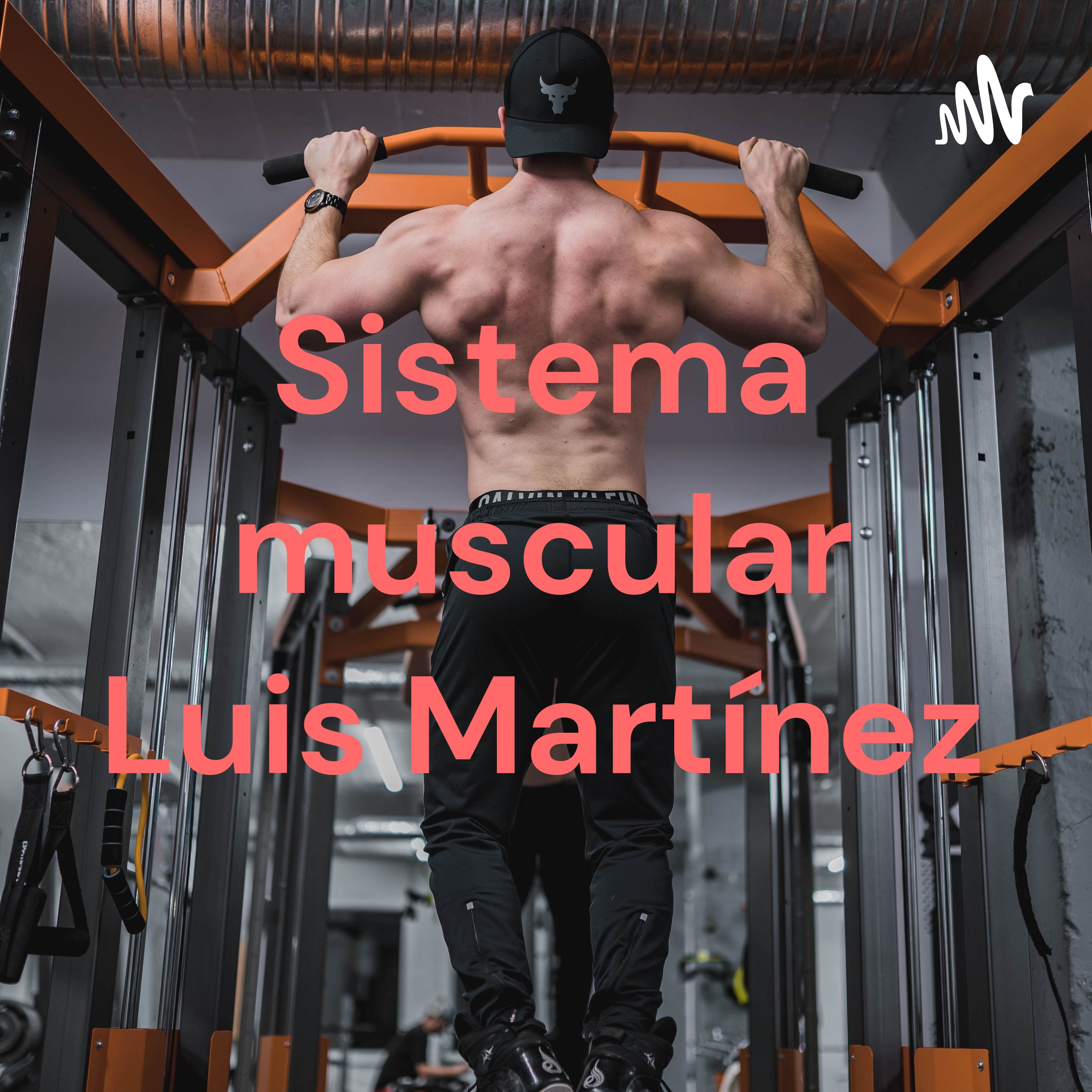 Sistema muscular Luis Martínez