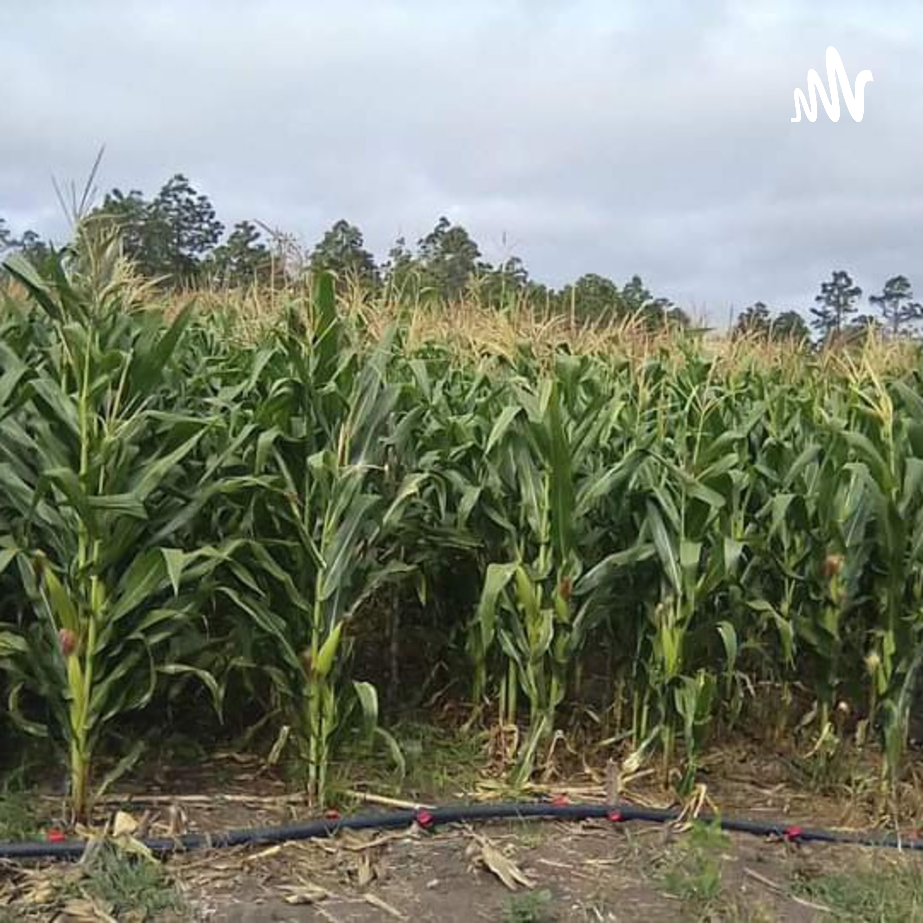 La Agricultura Mi Vida