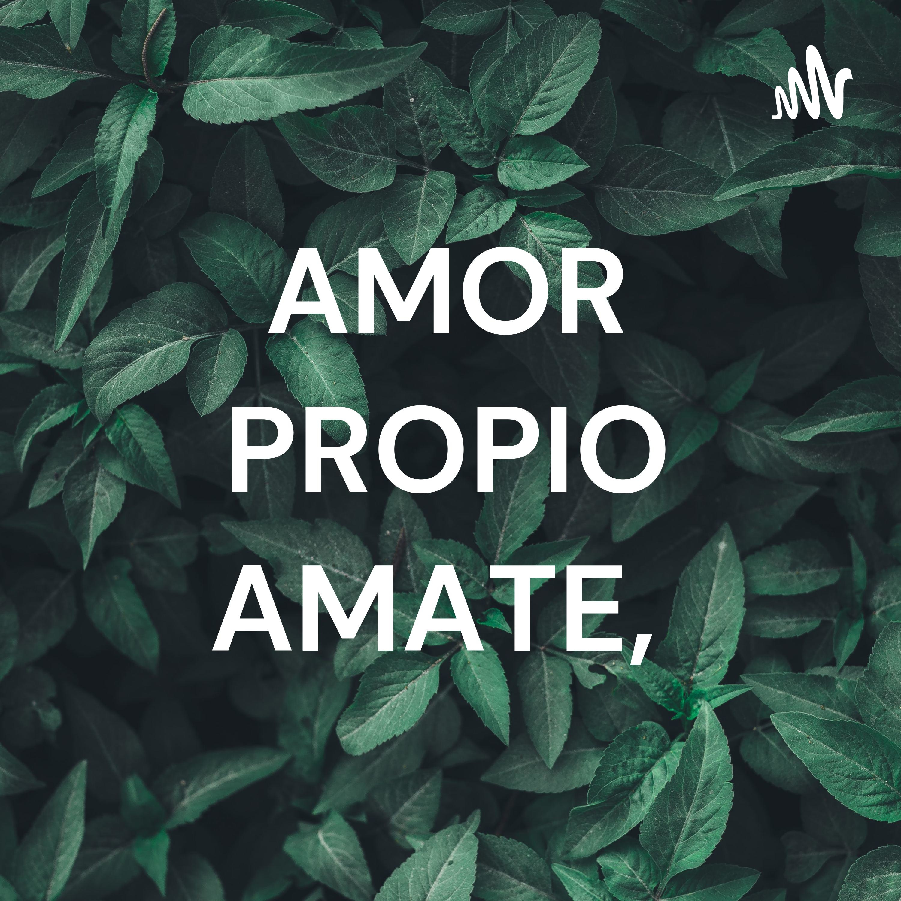 AMOR PROPIO AMATE, 🥀🪐 cover art
