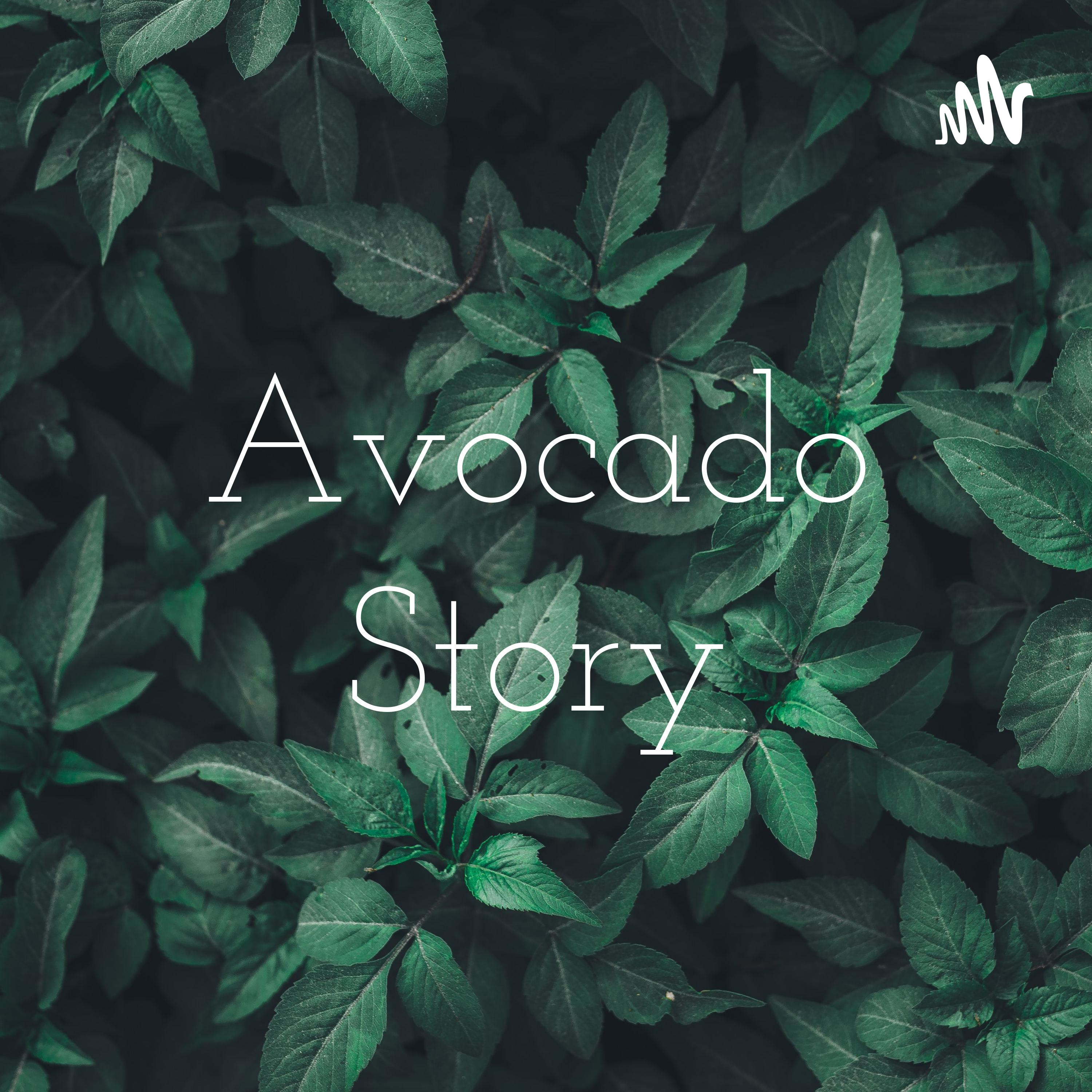 Avocado Story