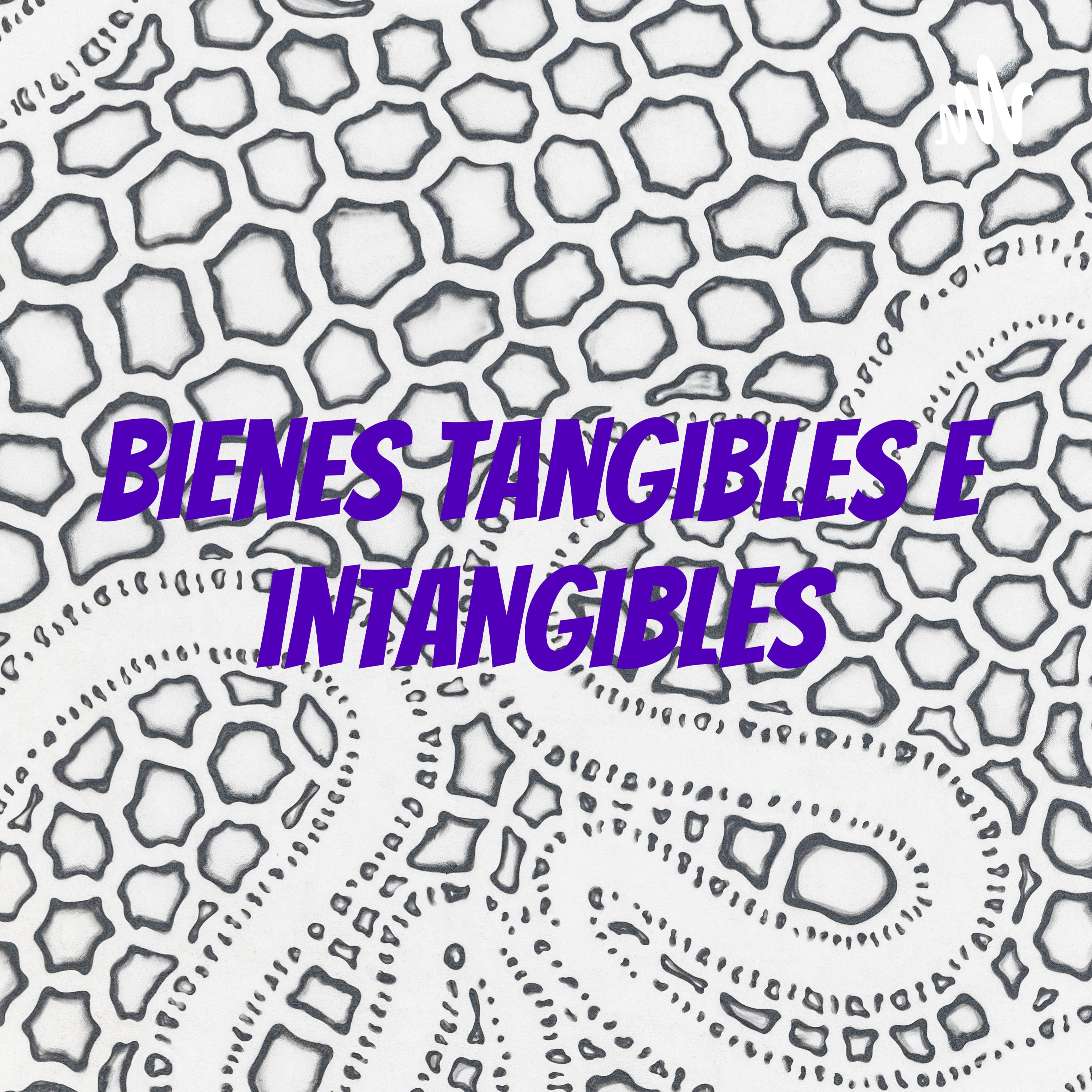bienes tangibles e intangibles