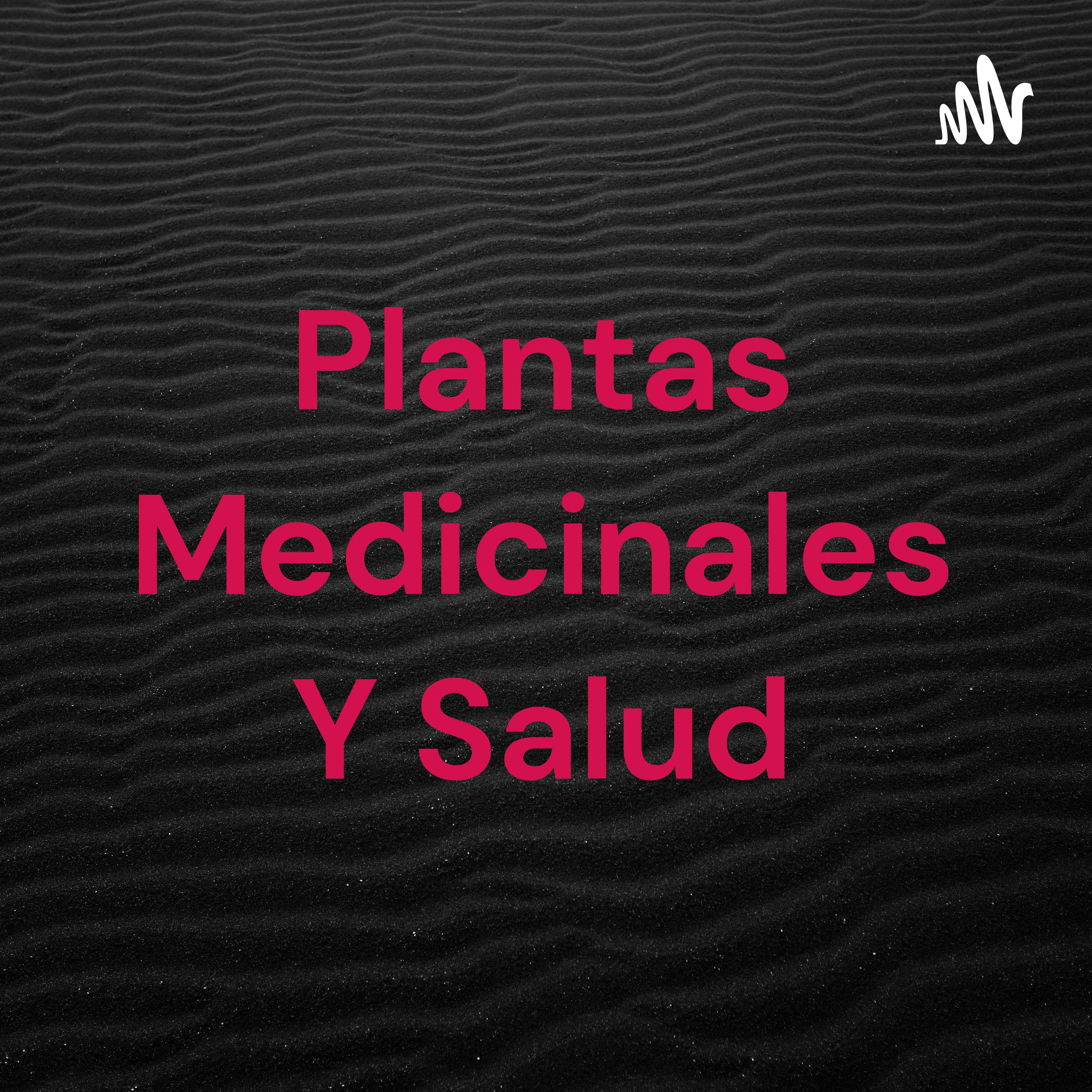 Plantas Medicinales Y Salud cover art
