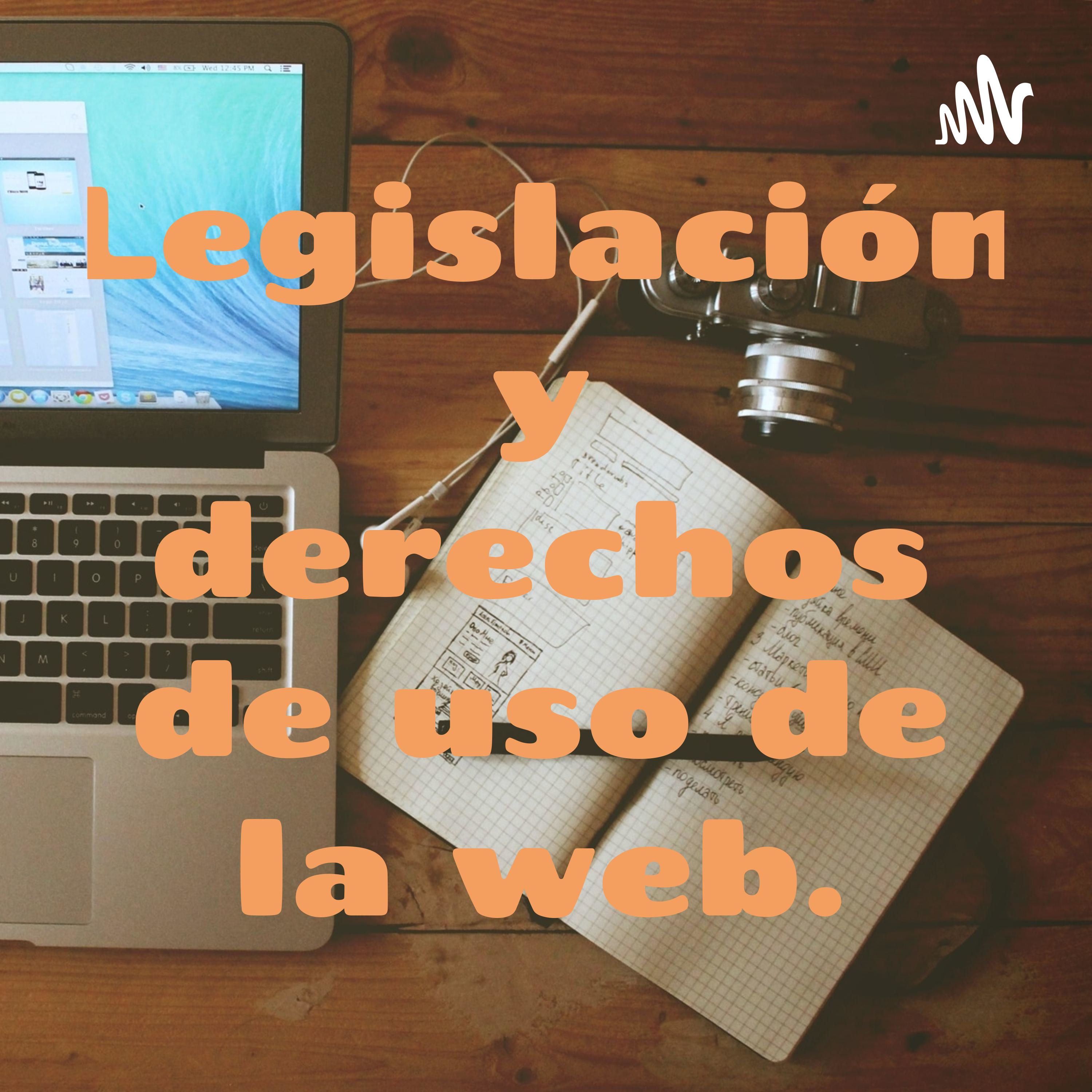 Legislación y derechos de uso de la web. cover art