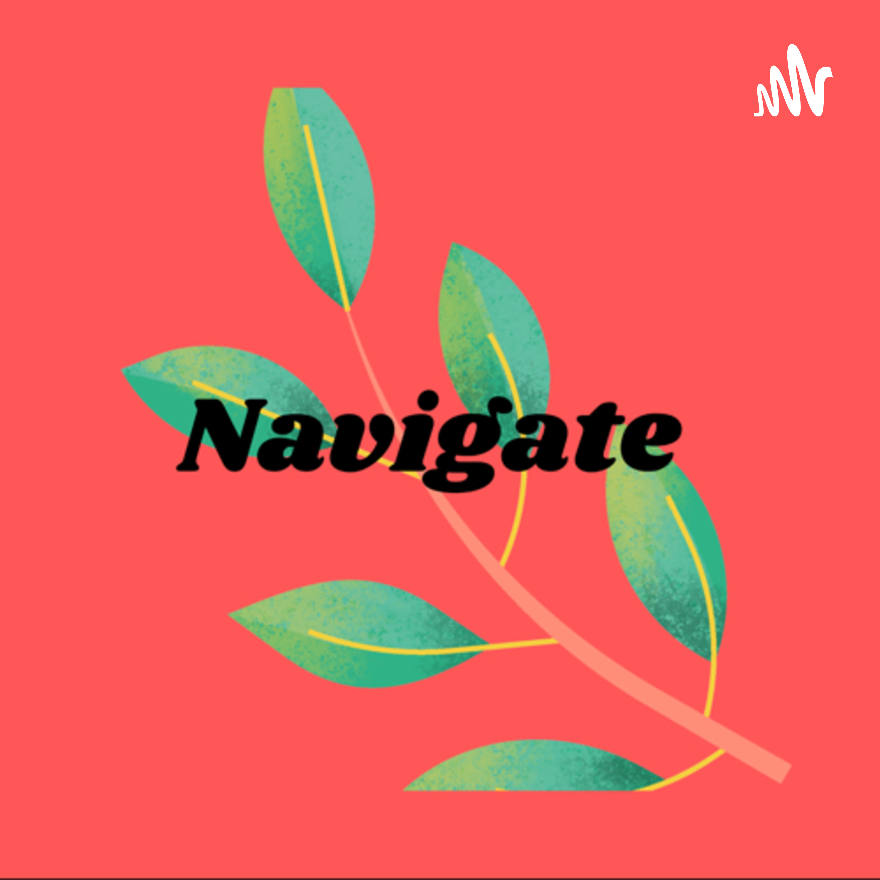 Navigate 