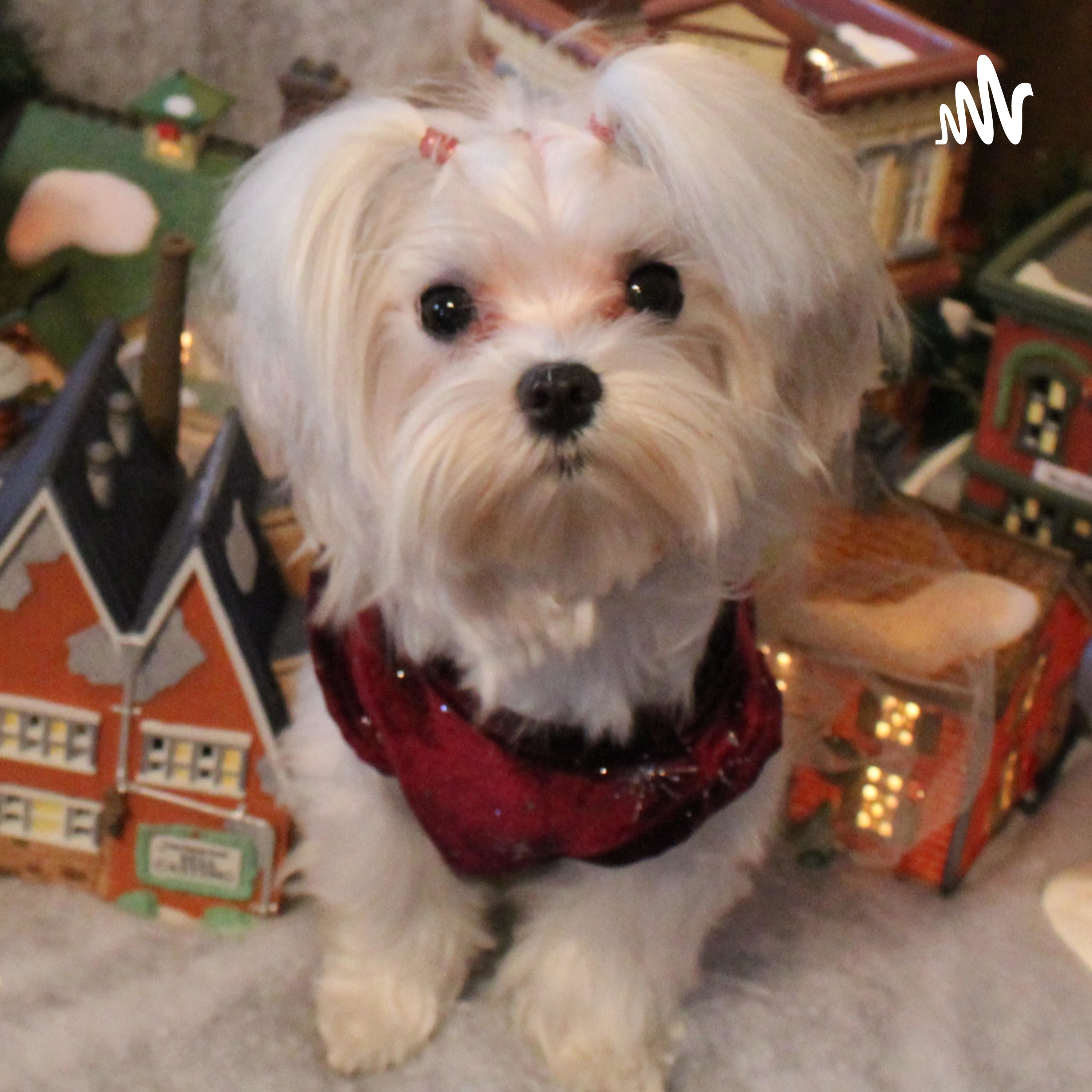 Angel Stories by Jenny Howe cover art