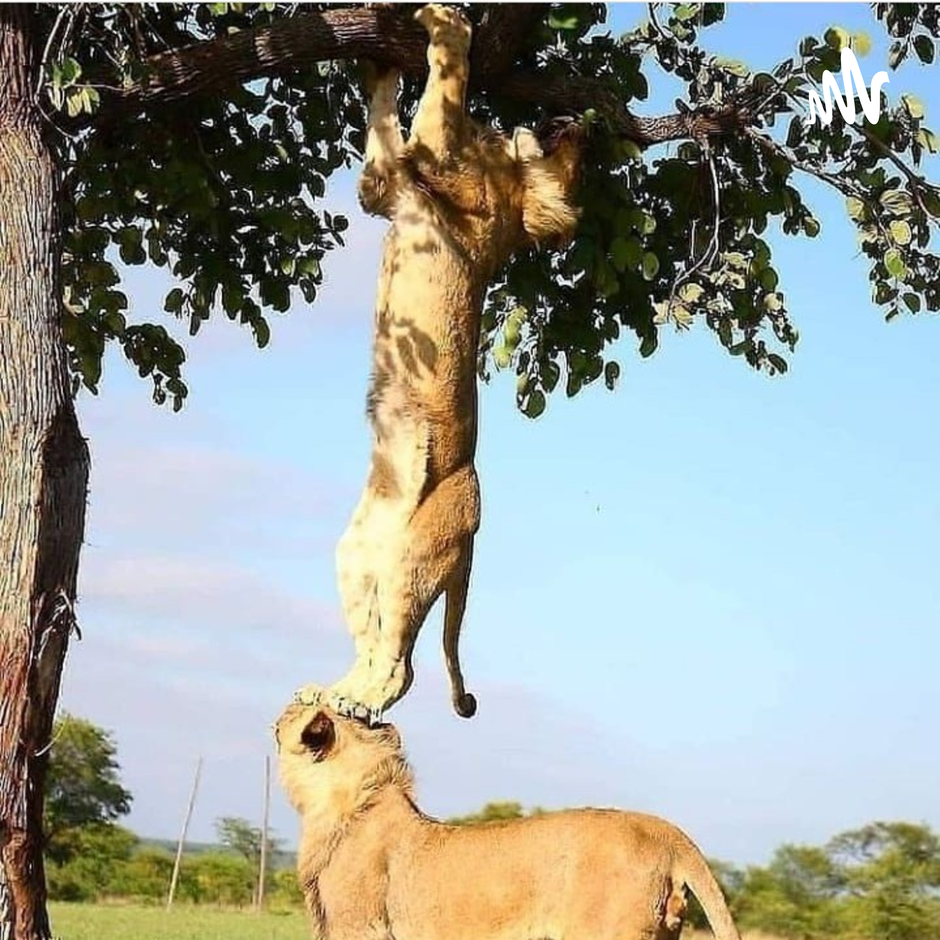 సర్కారీ నౌకరి కావాలా.. cover art