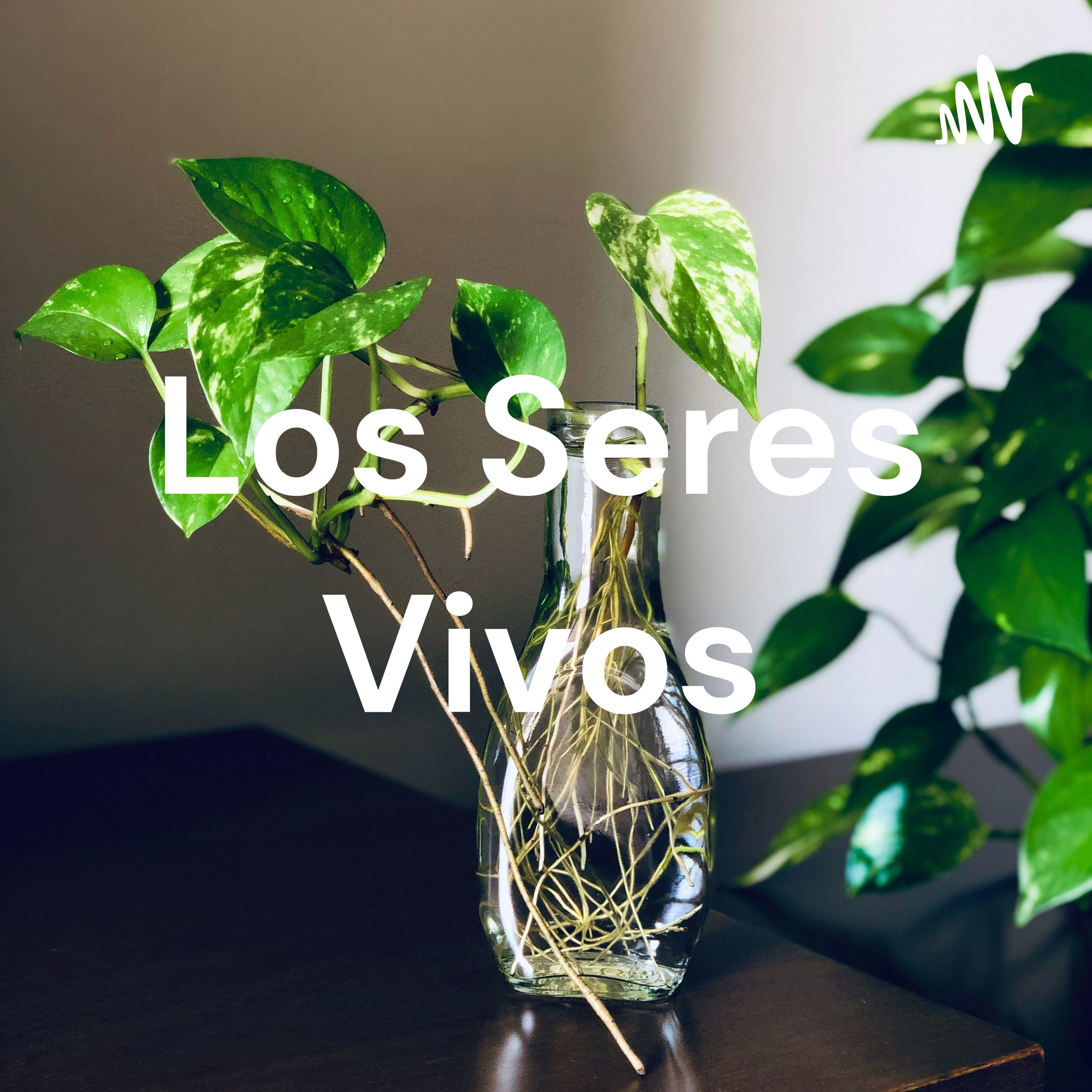Los Seres Vivos cover art