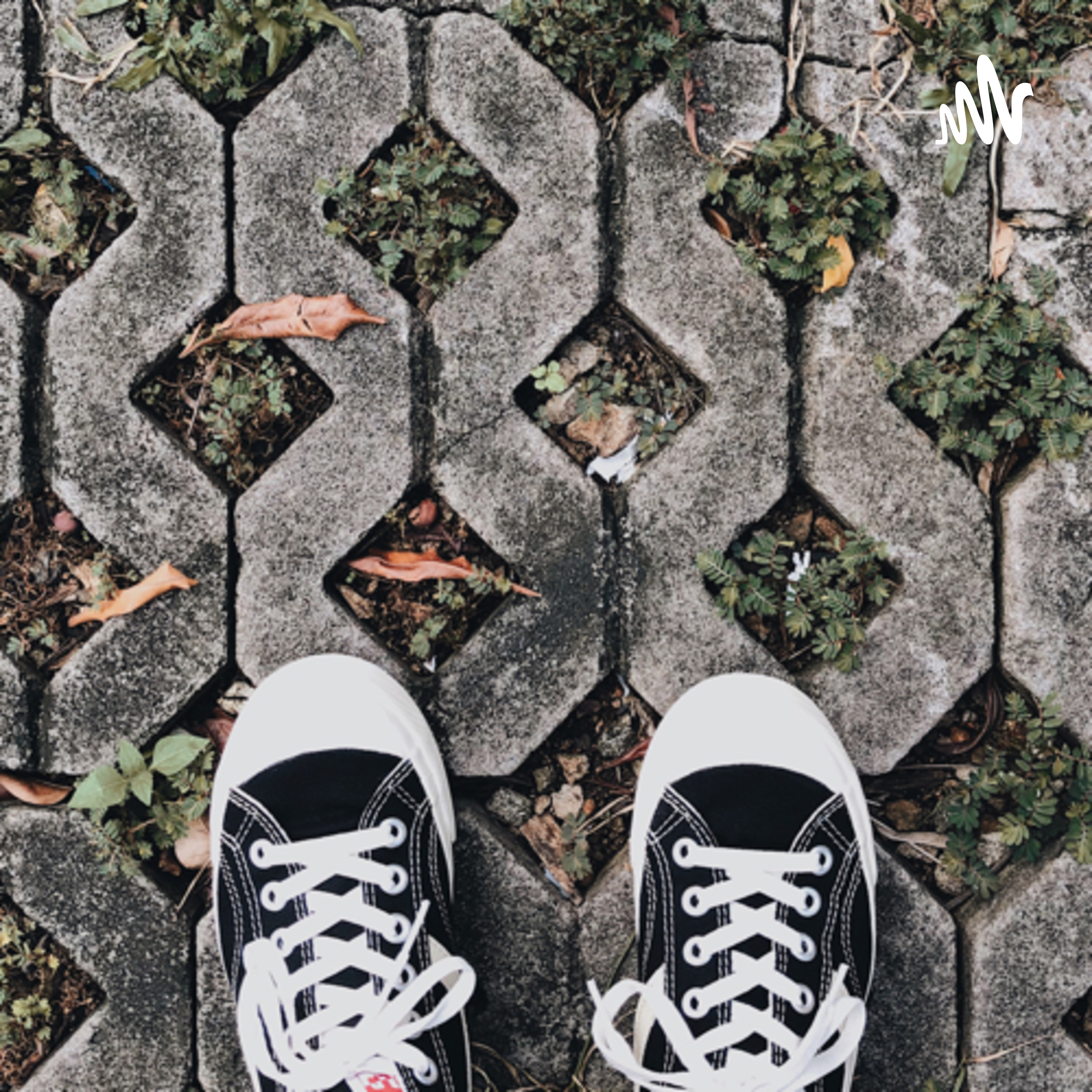 Mela Amelia cover art