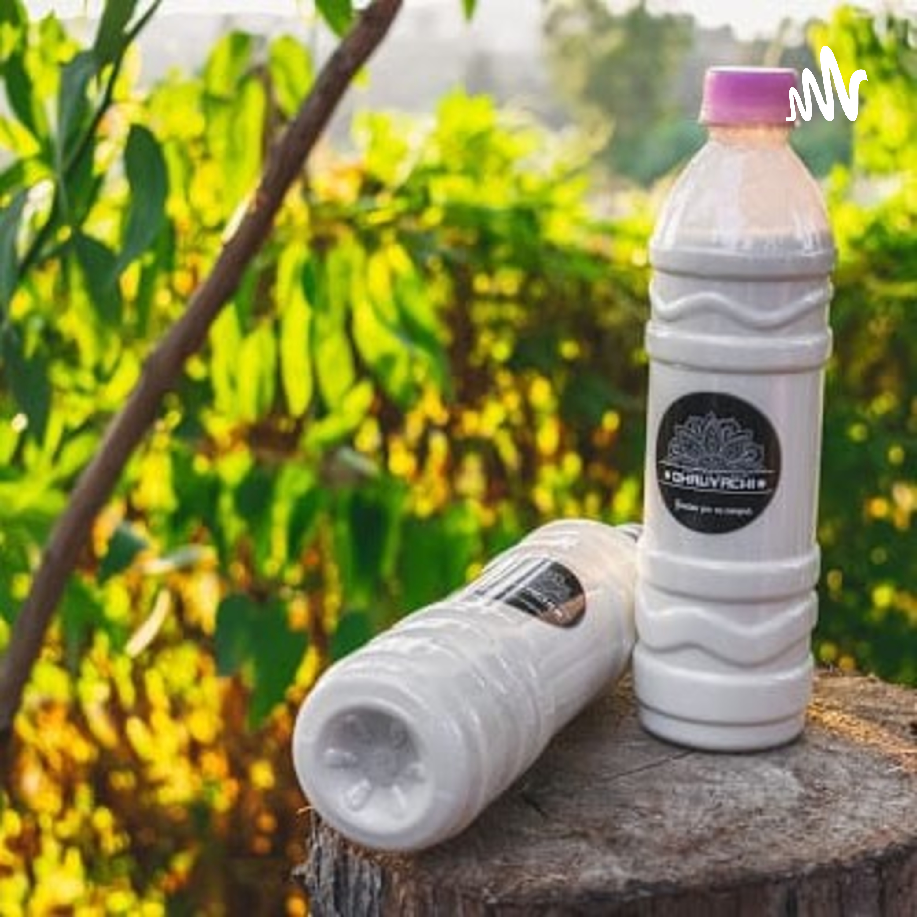 Cuidado De La Salud. cover art