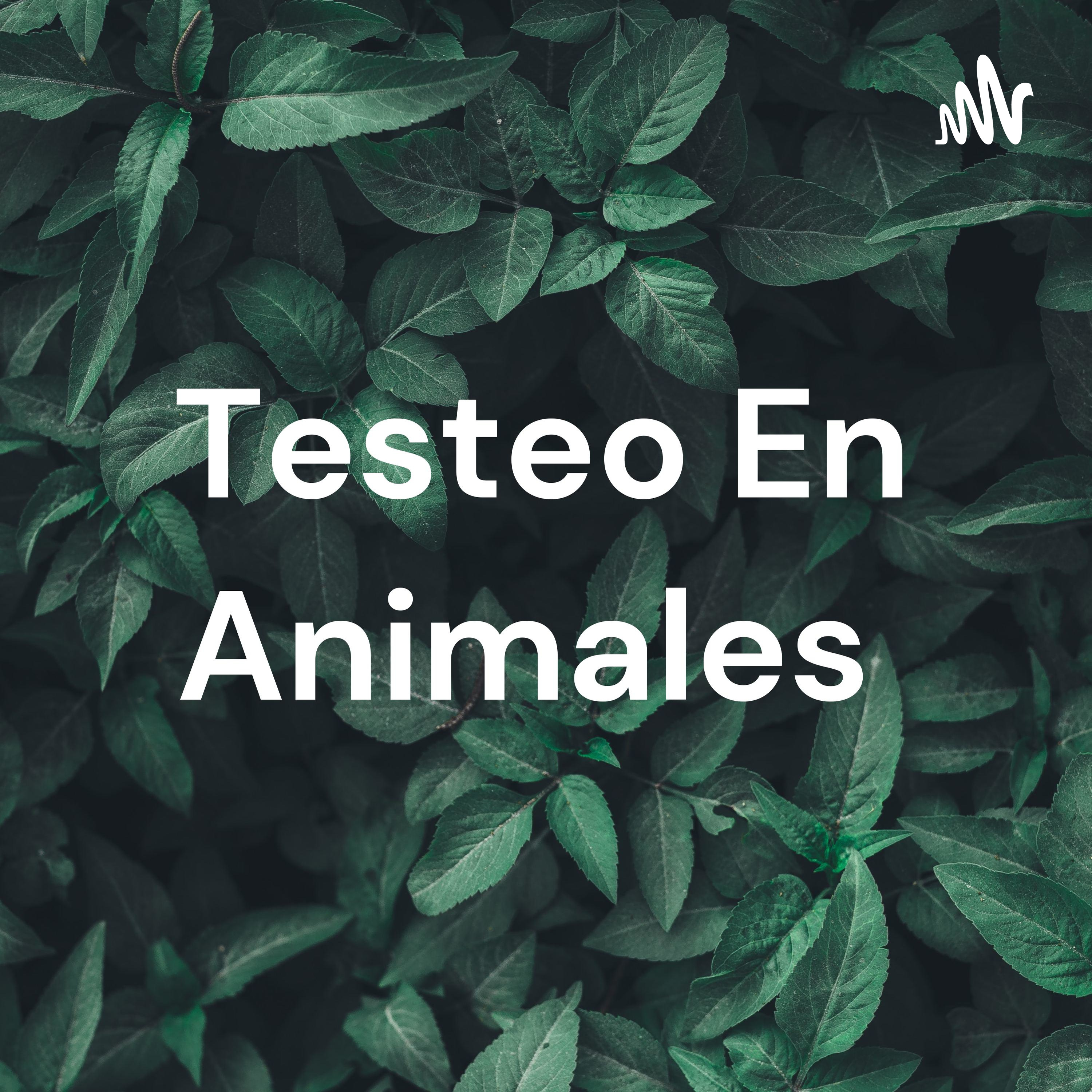 Testeo en animales 