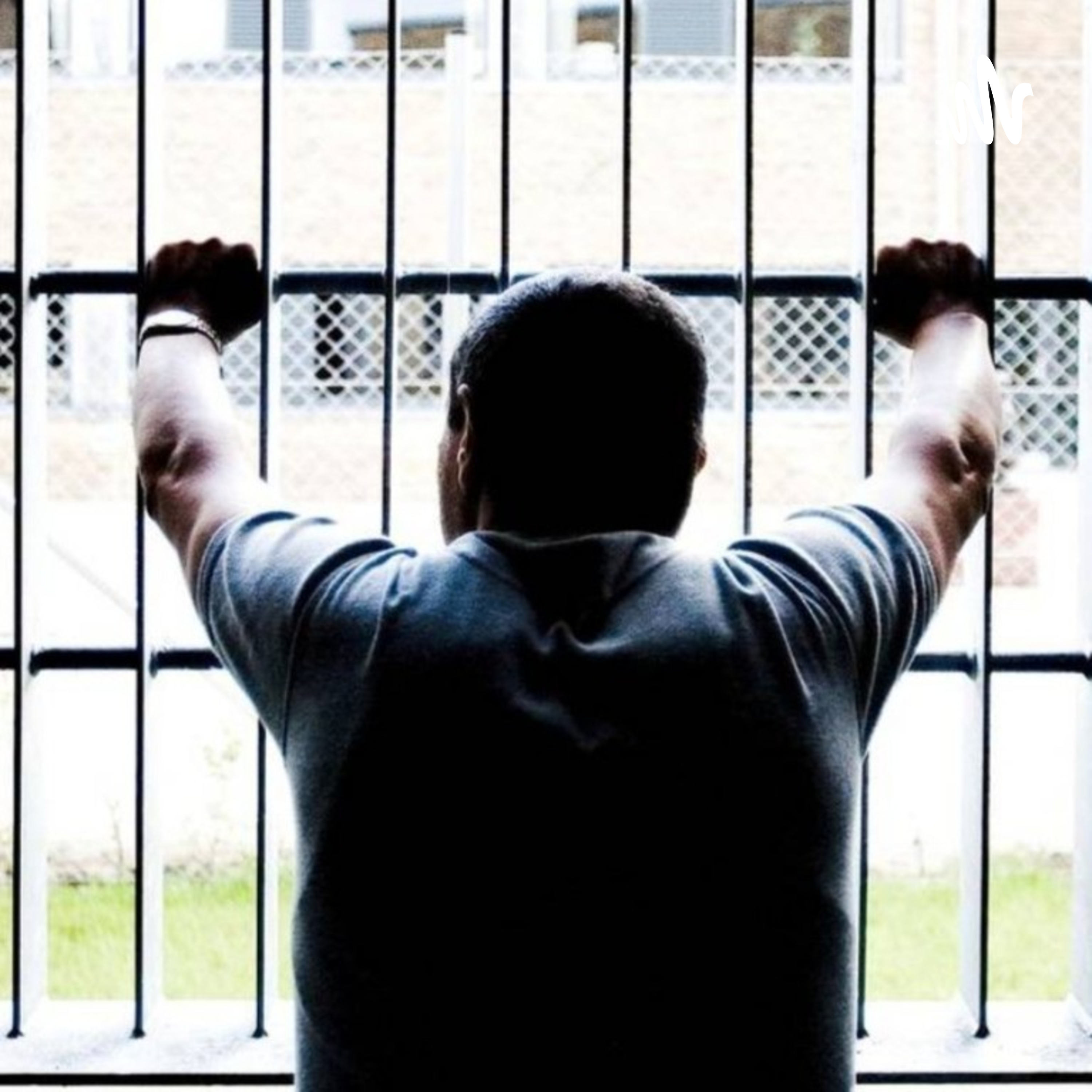 "SYSTEMET DET FORBANDEDE" af Anja Nielsen