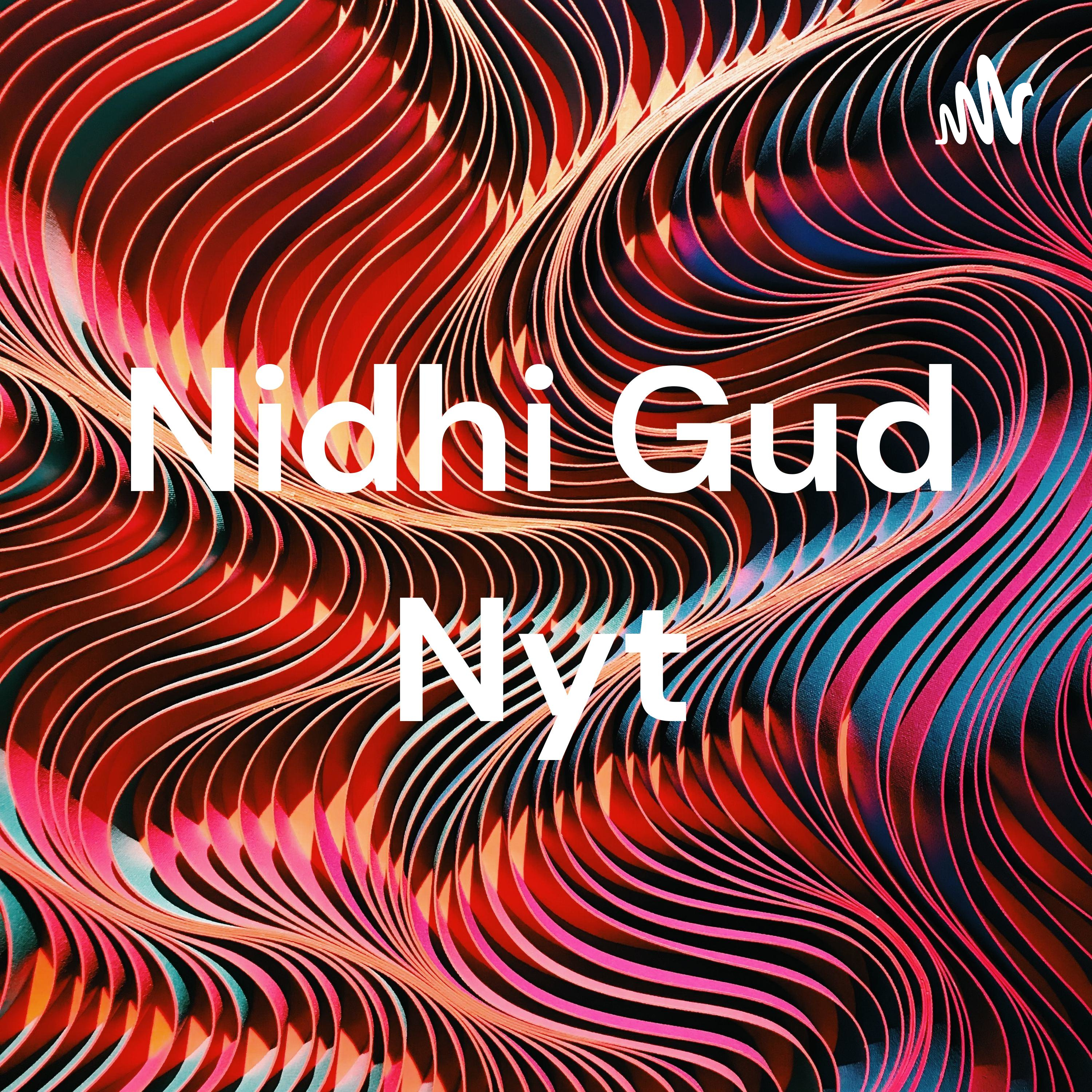 Nidhi Gud Nyt cover art