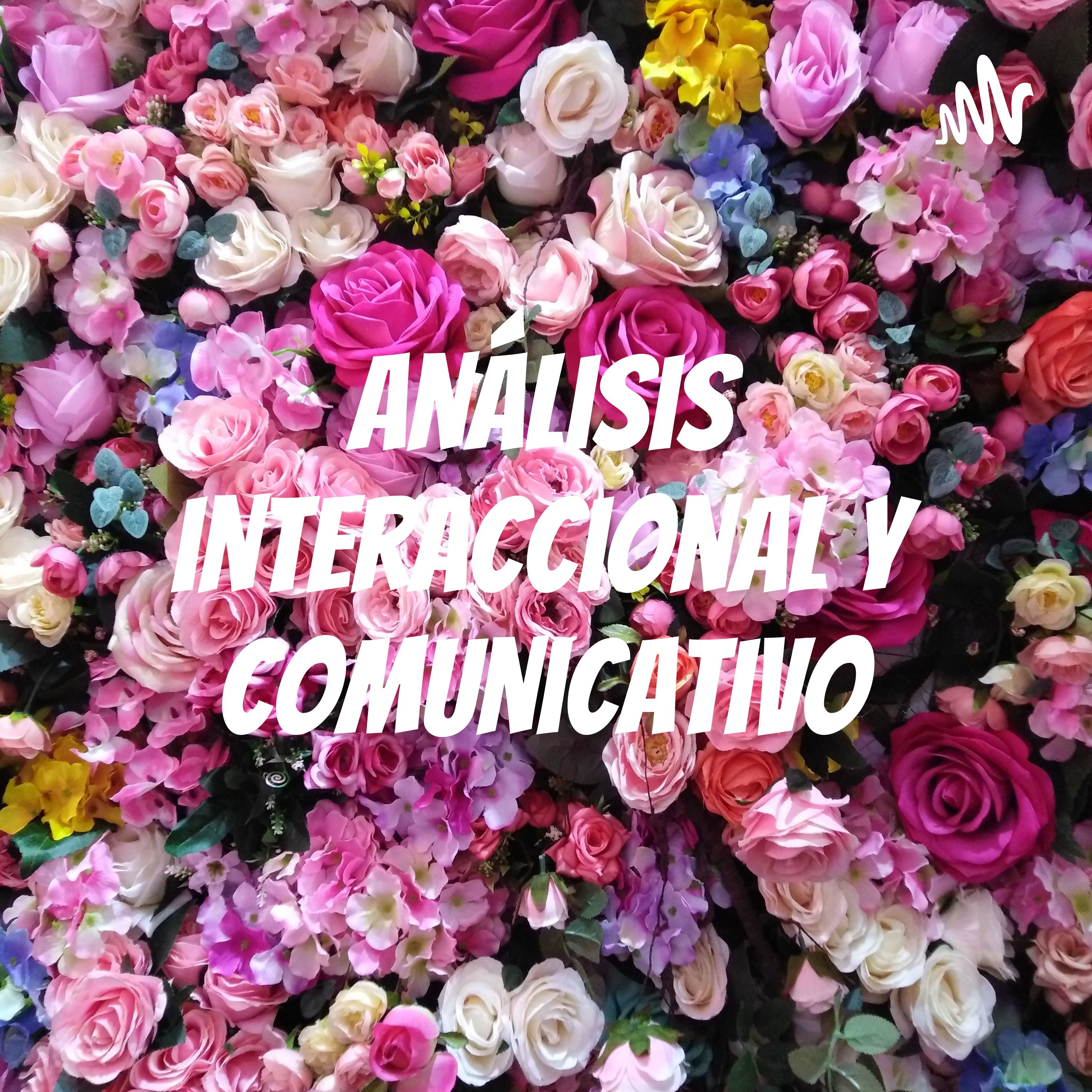 Análisis interaccional y comunicativo