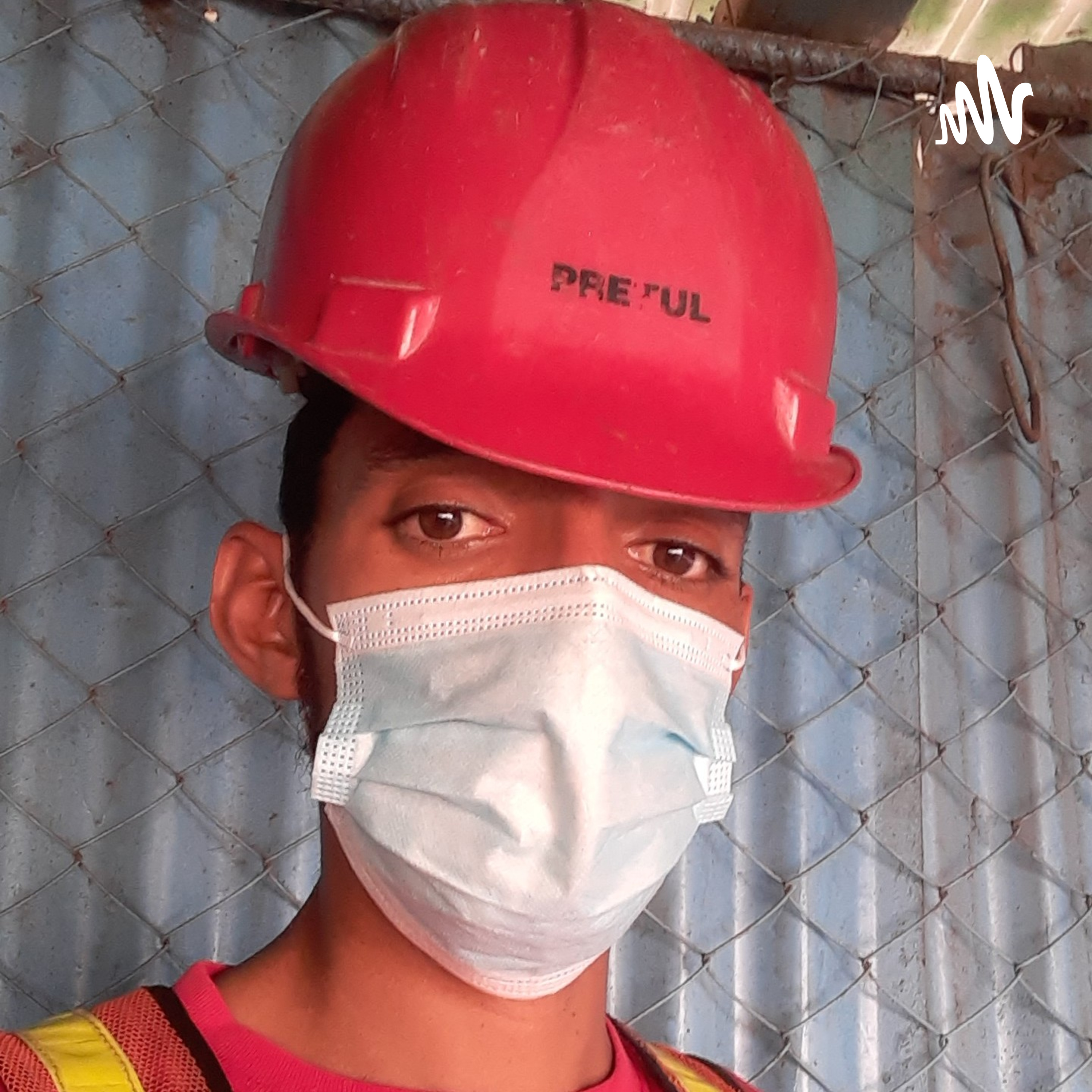 Se El Eléctrico De Tu Hogar cover art