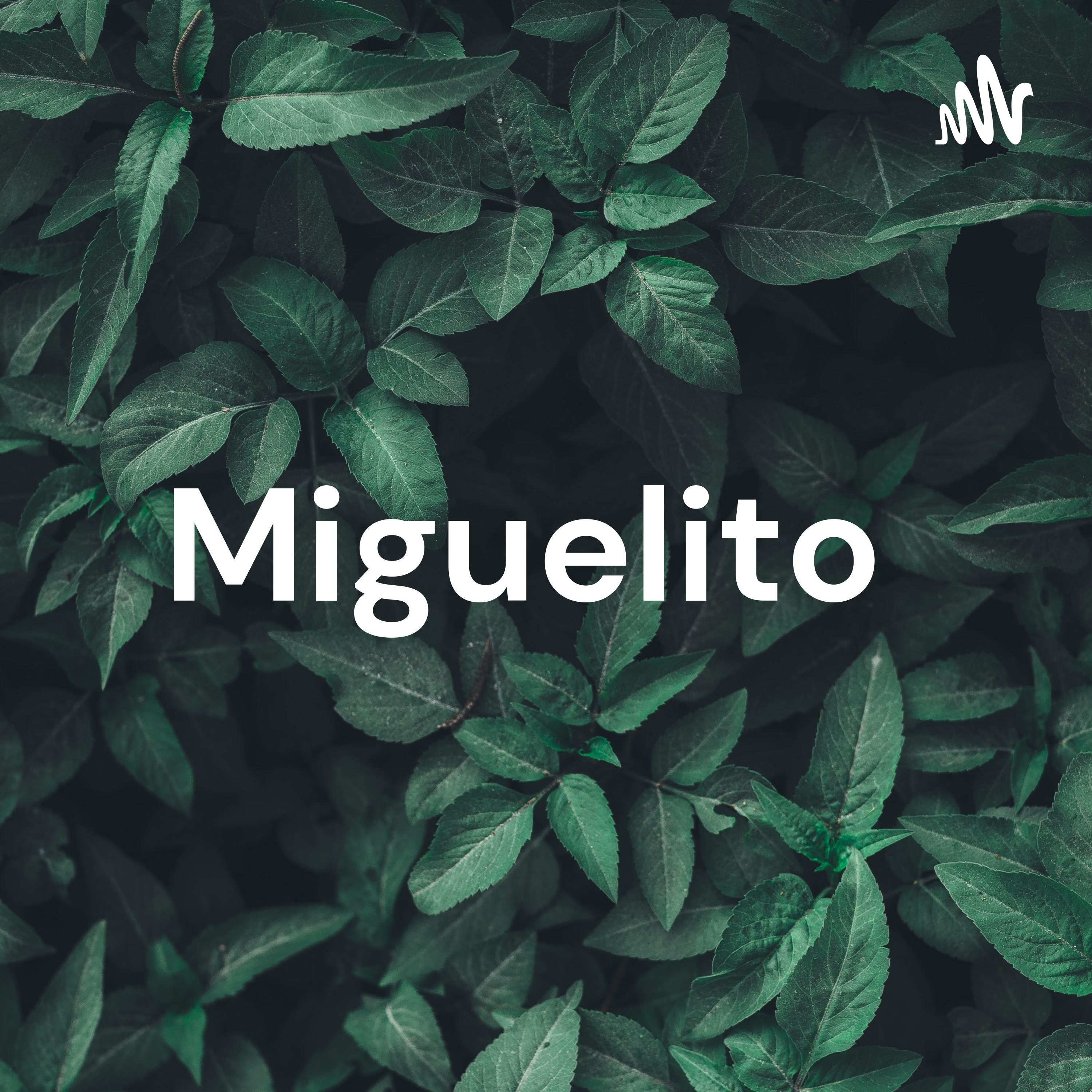 Miguelito 🌴🌾🎗️ cover art