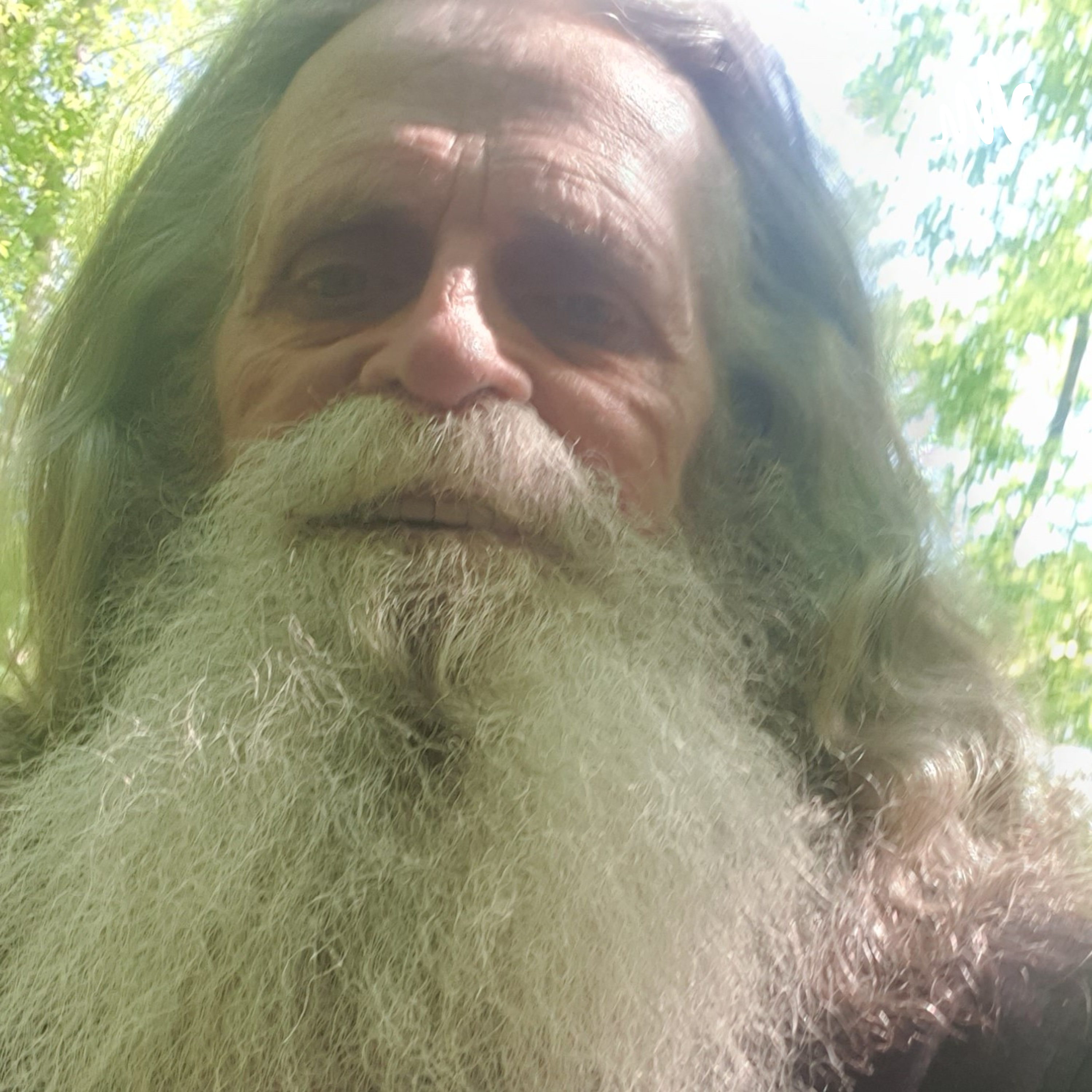 Ready Freddy cover art