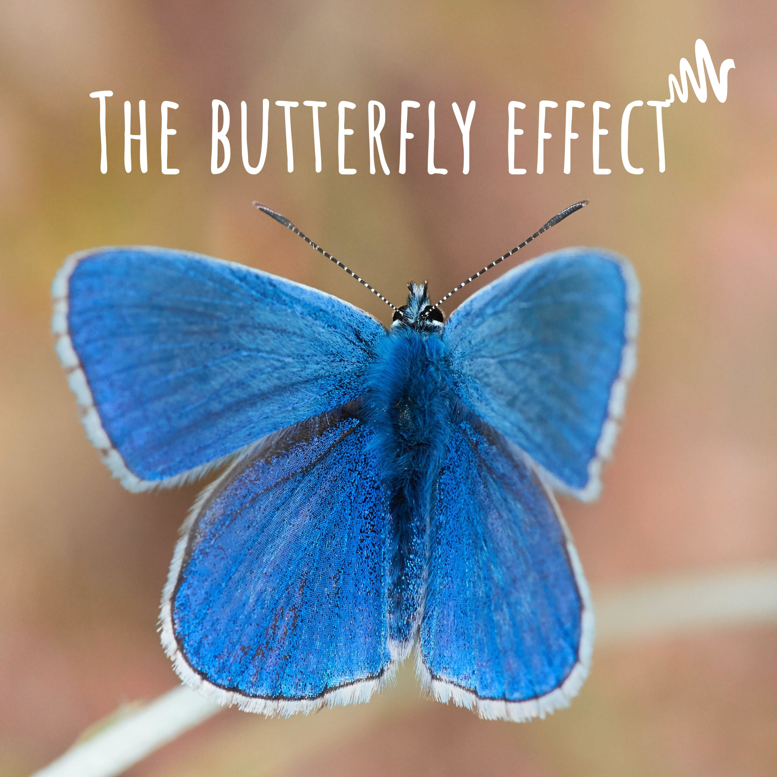 The butterfly effect cover art