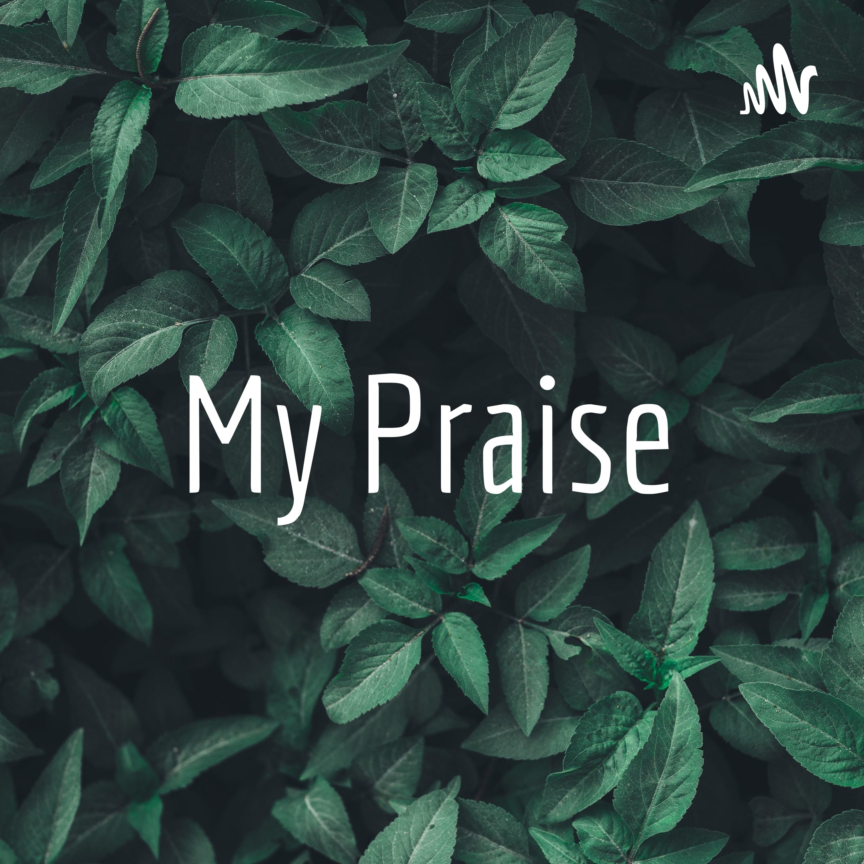 My Praise