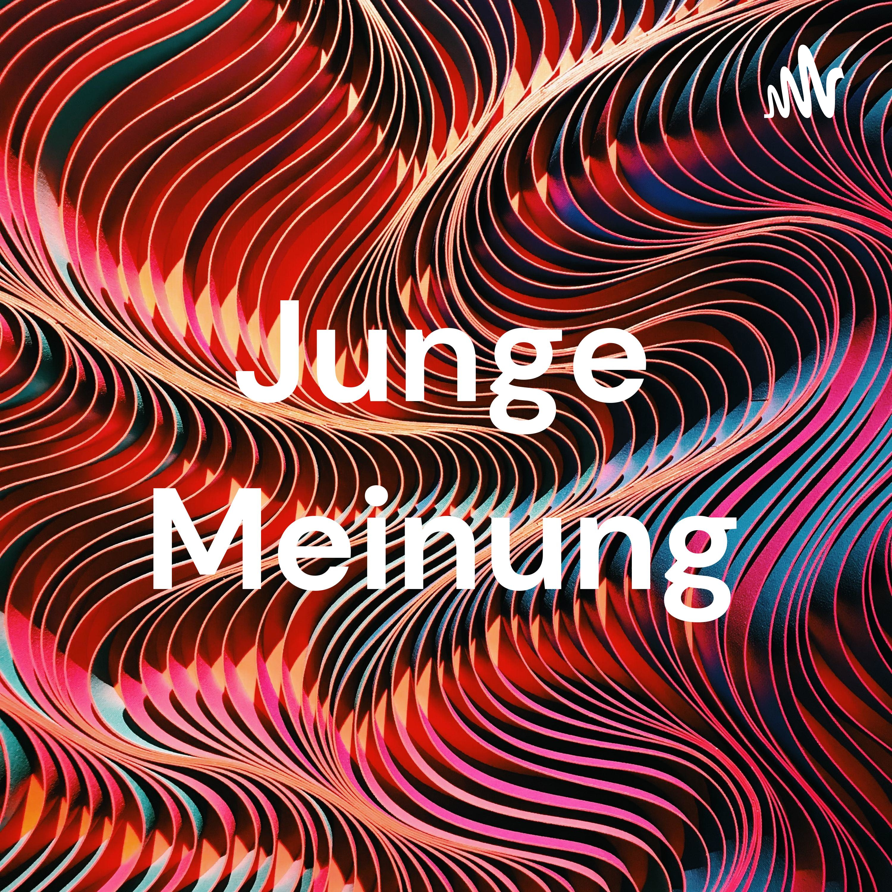 Junge Meinung cover art