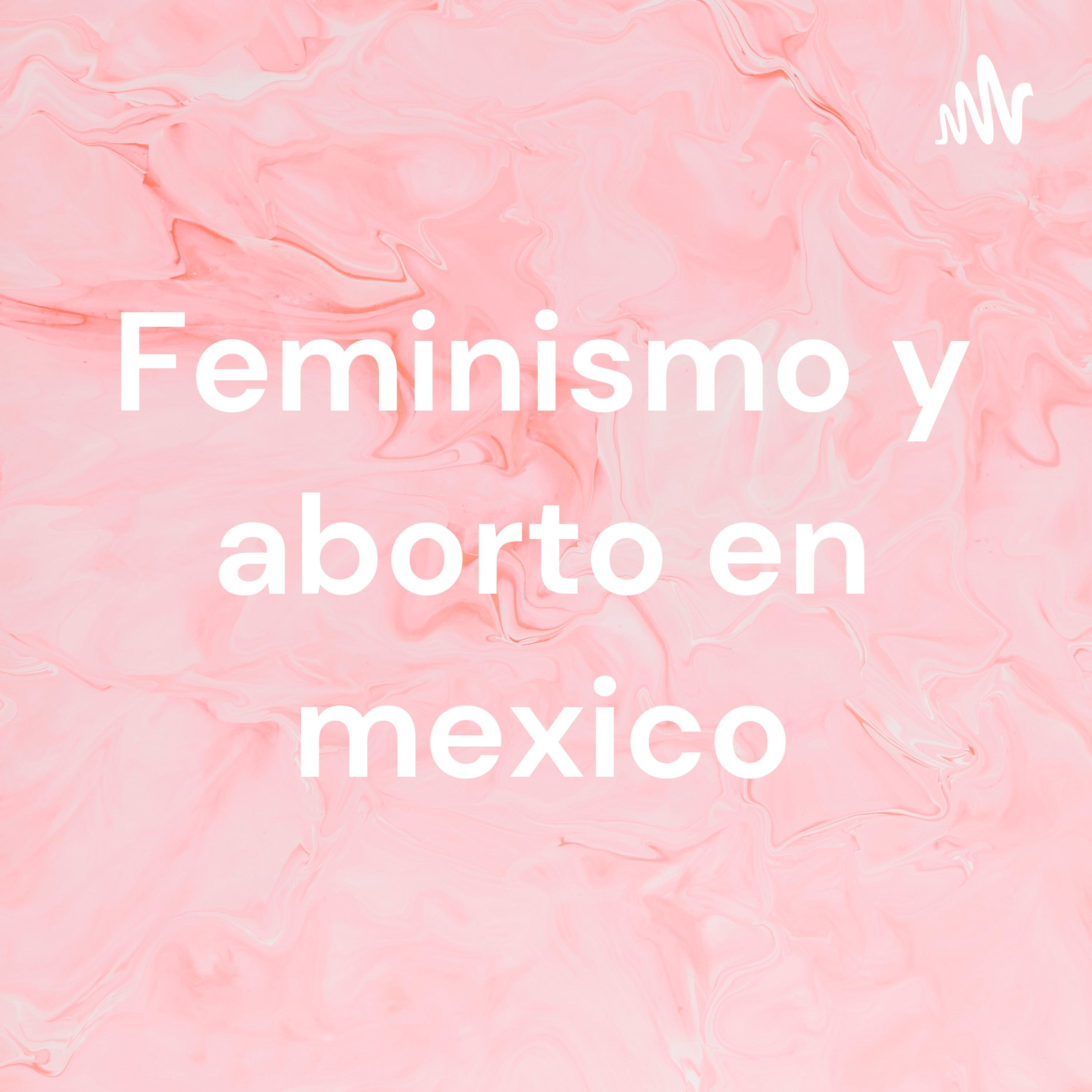 Feminismo y aborto en mexico