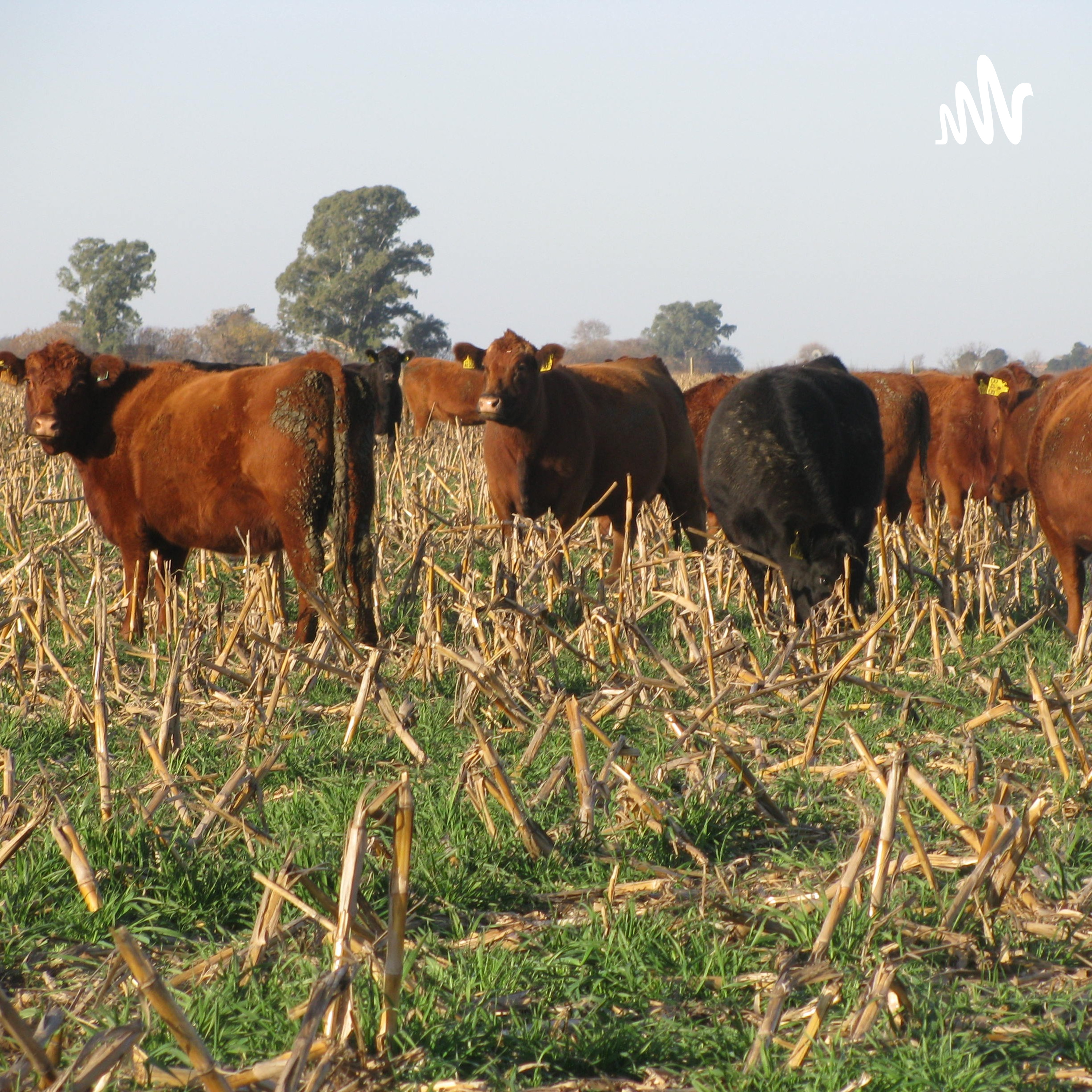 Sustinable Agriculture