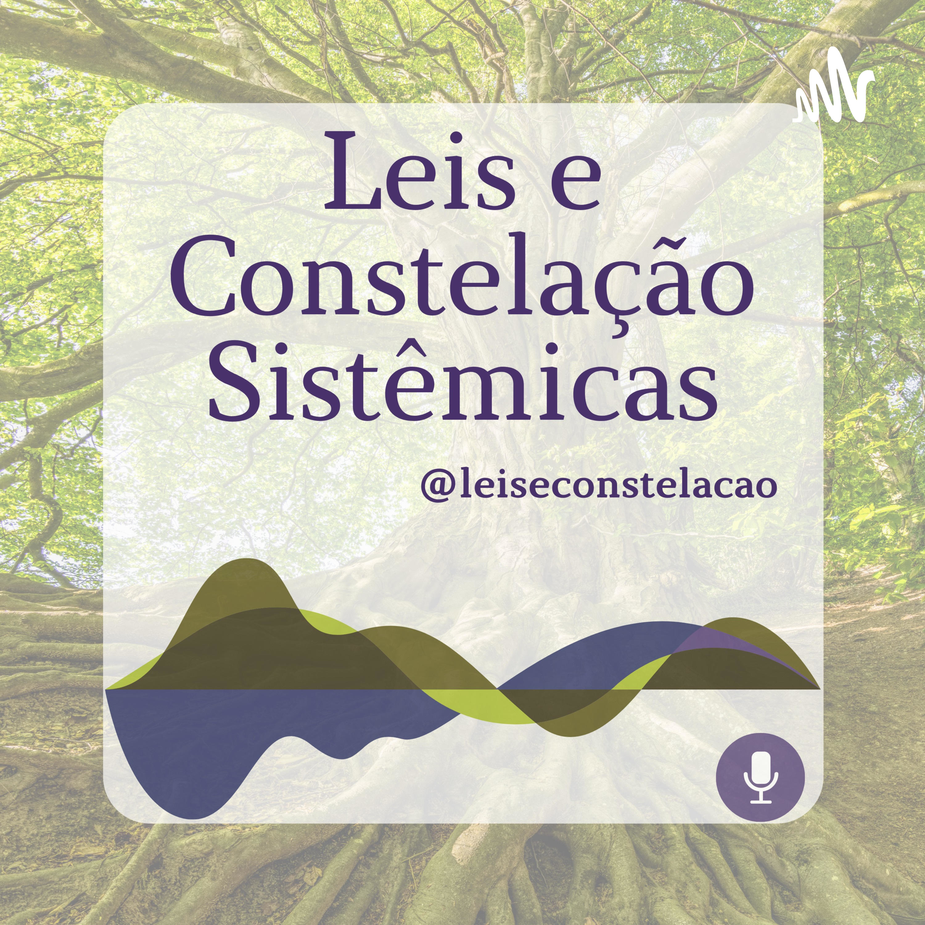 Leis e Constelação sistêmicas