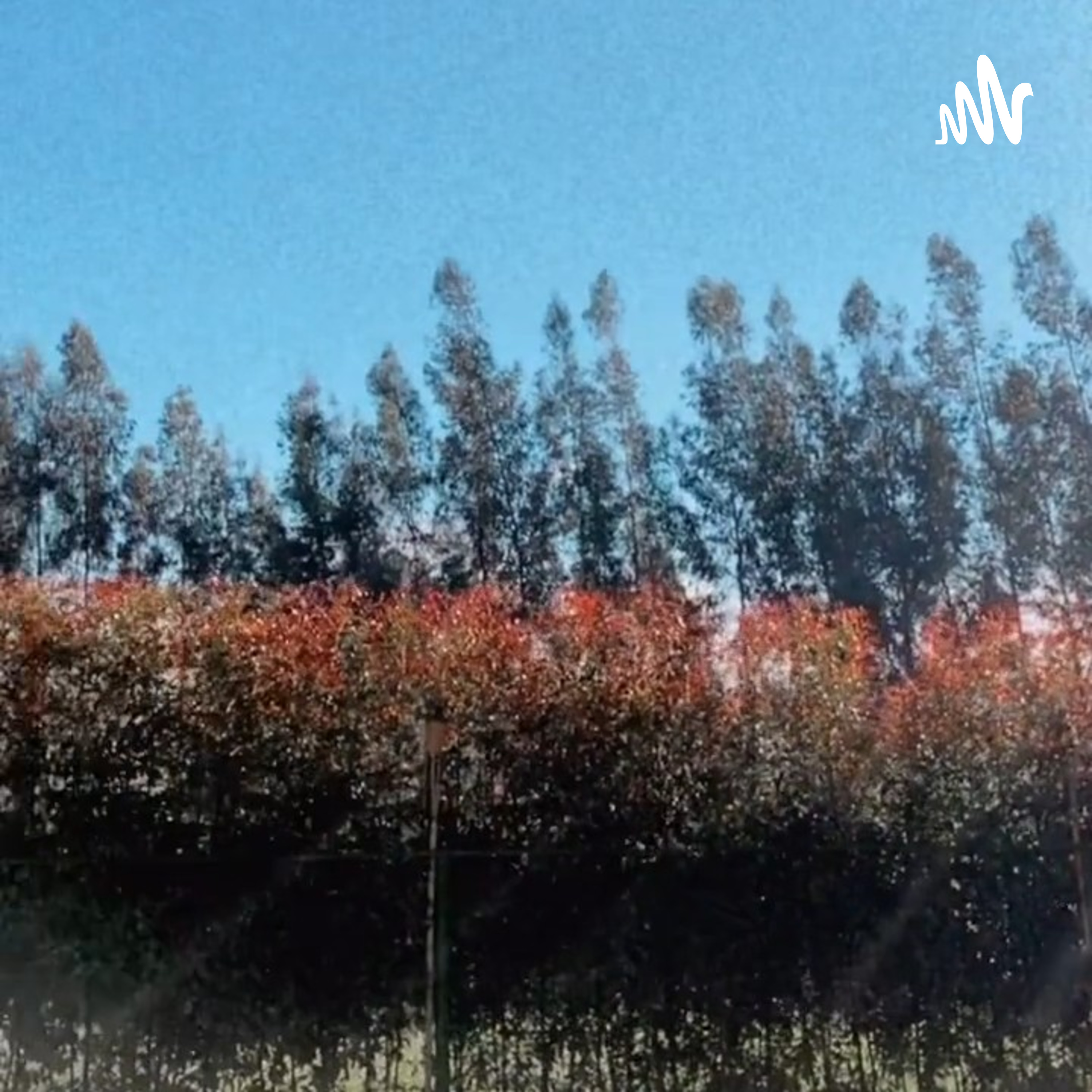 Empecemos A Cambiar✨ cover art