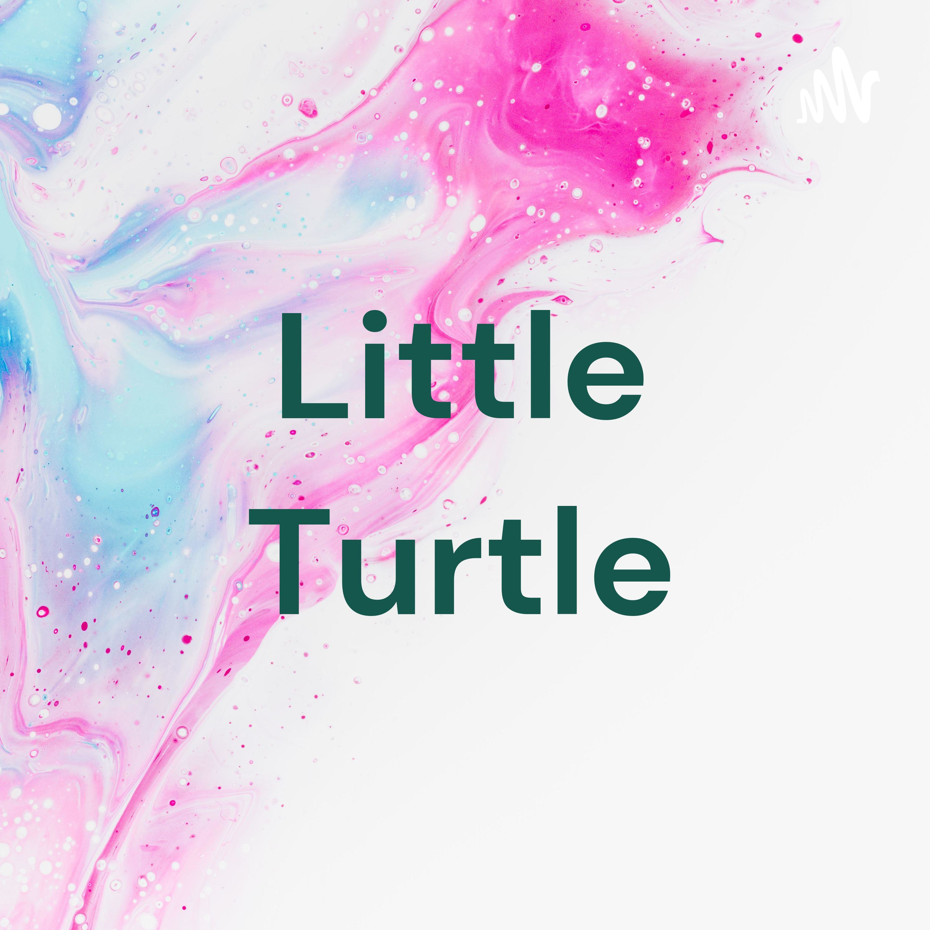 Little Turtle