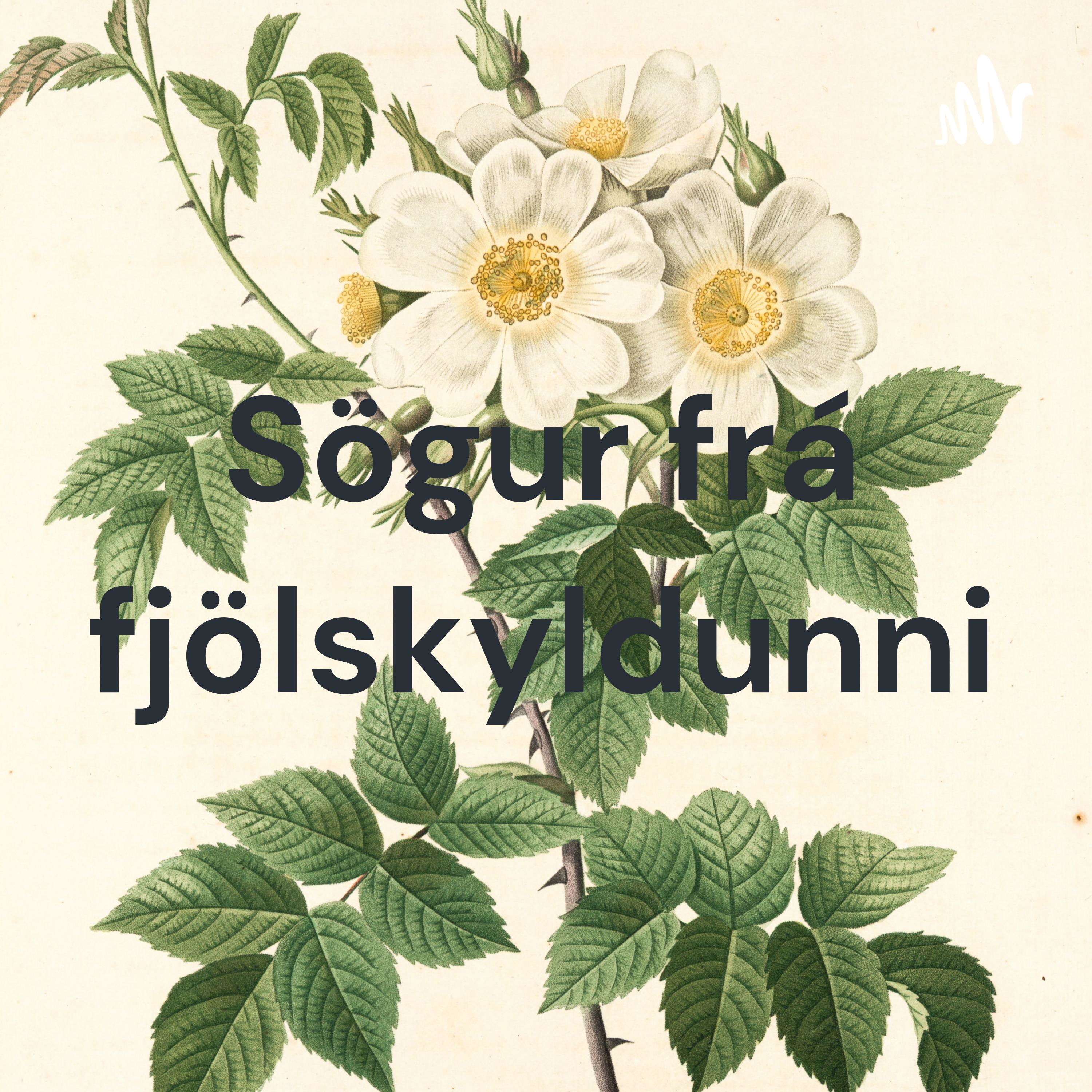 Sögur frá fjölskyldunni cover art
