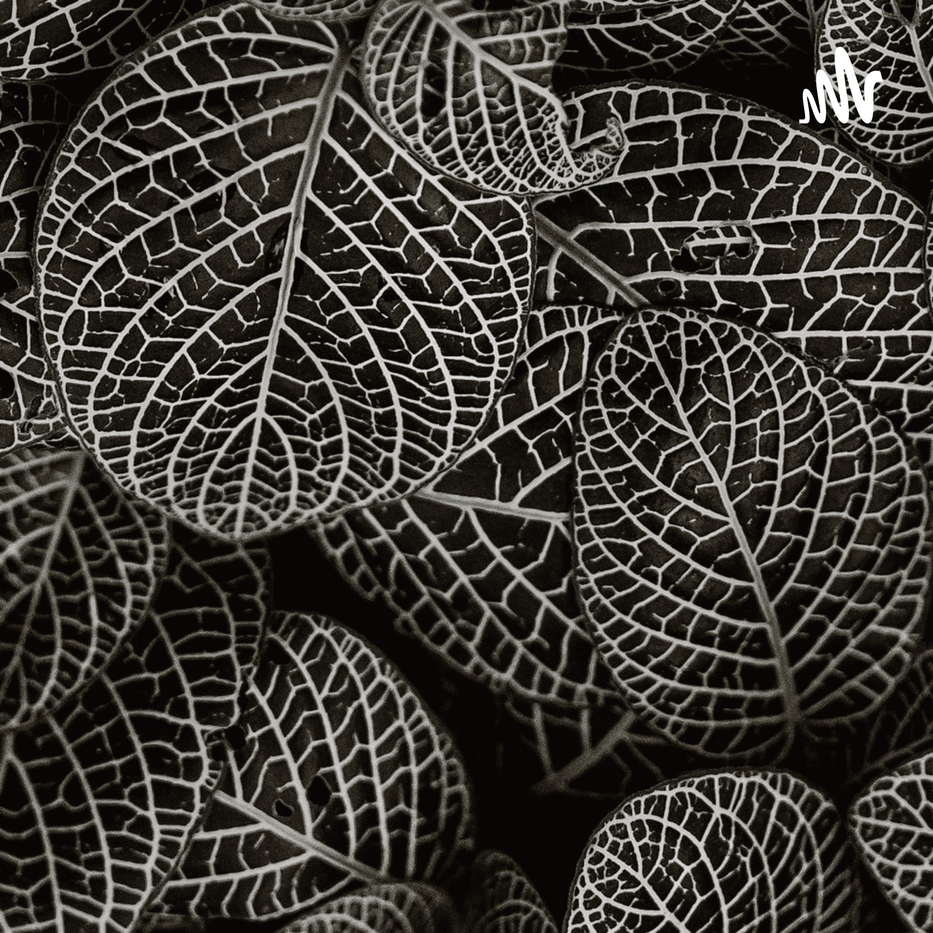 Desventuras Em Série-Mau Começo 