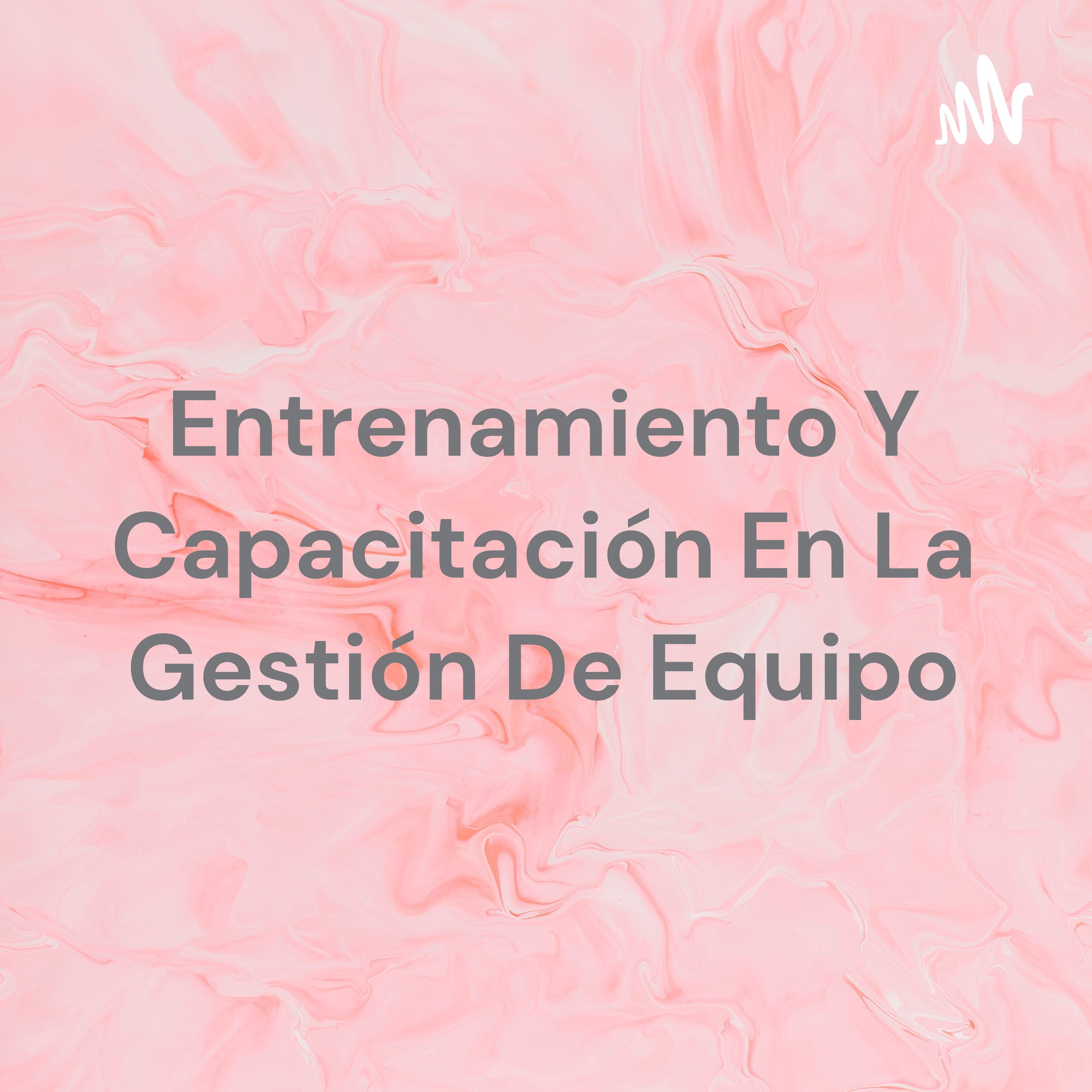 Entrenamiento Y Capacitación En La Gestión De Equipo cover art