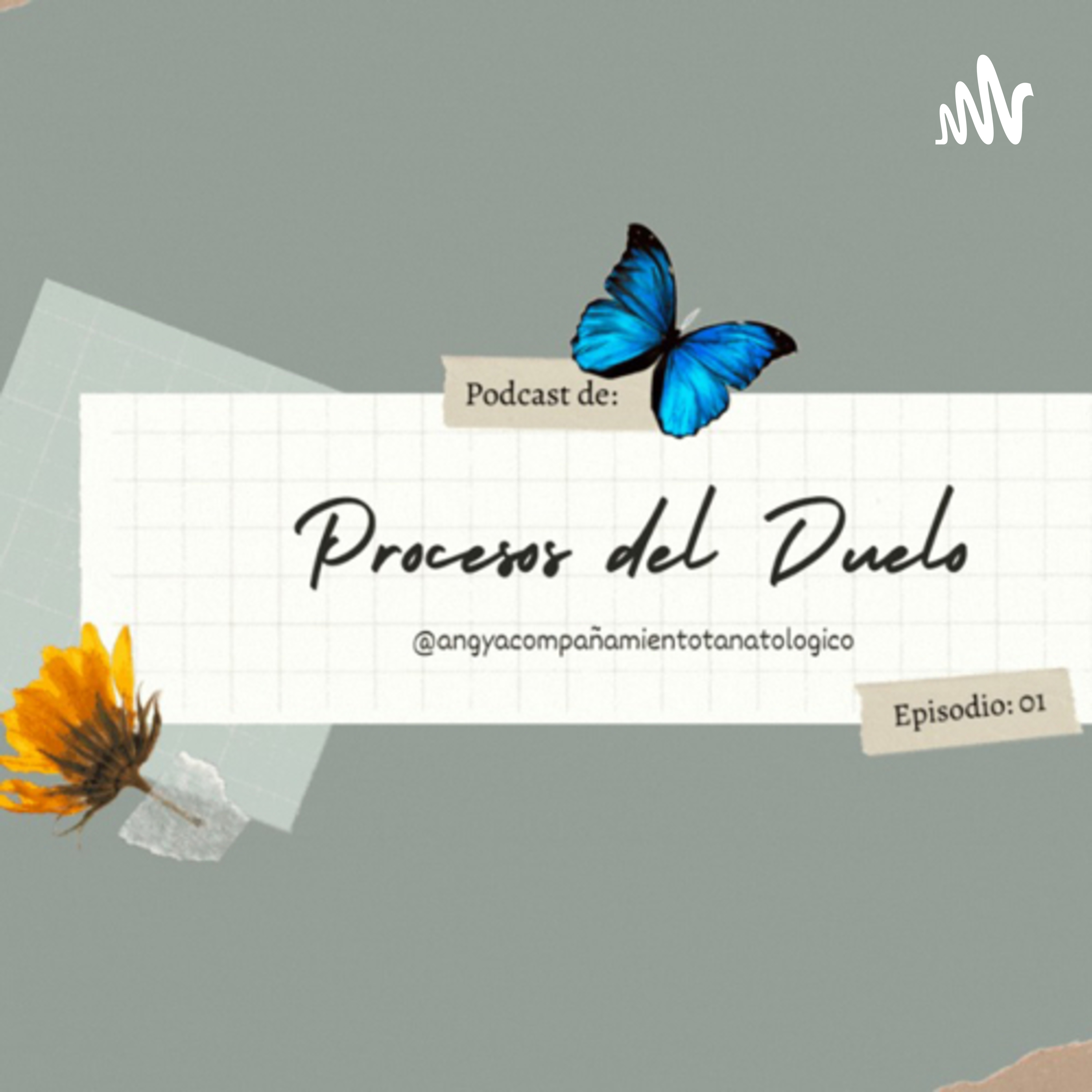 Procesos del duelo podcast artwork