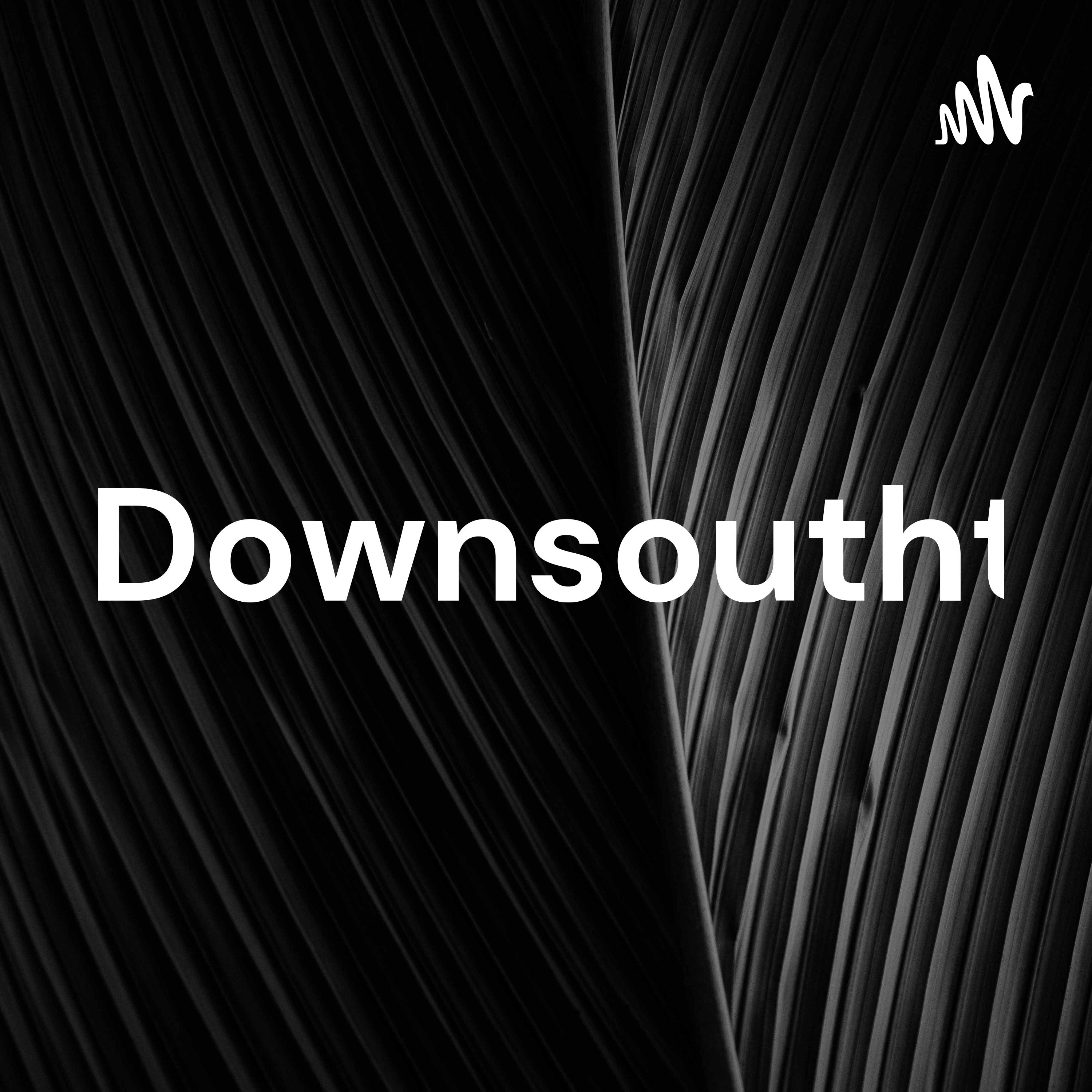 Downsouthtalkshow cover art